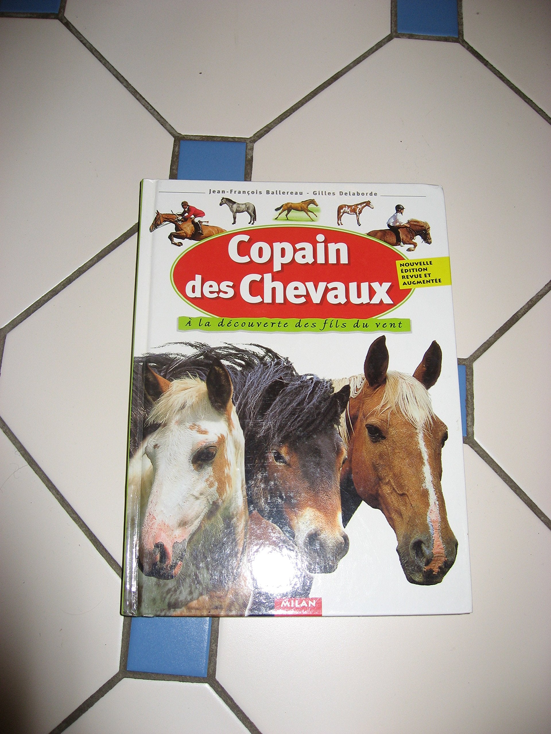 Copain des chevaux : A la découverte des fils du vent 9782745900654