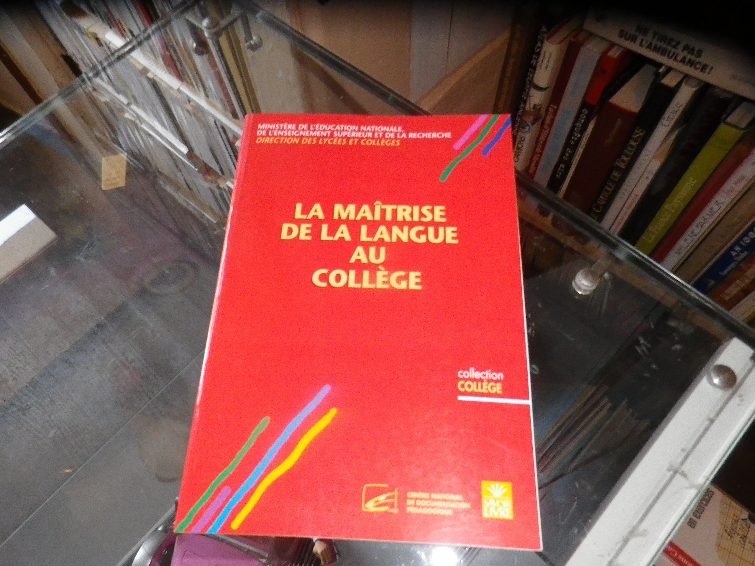 La maîtrise de la langue au collège 9782091779720
