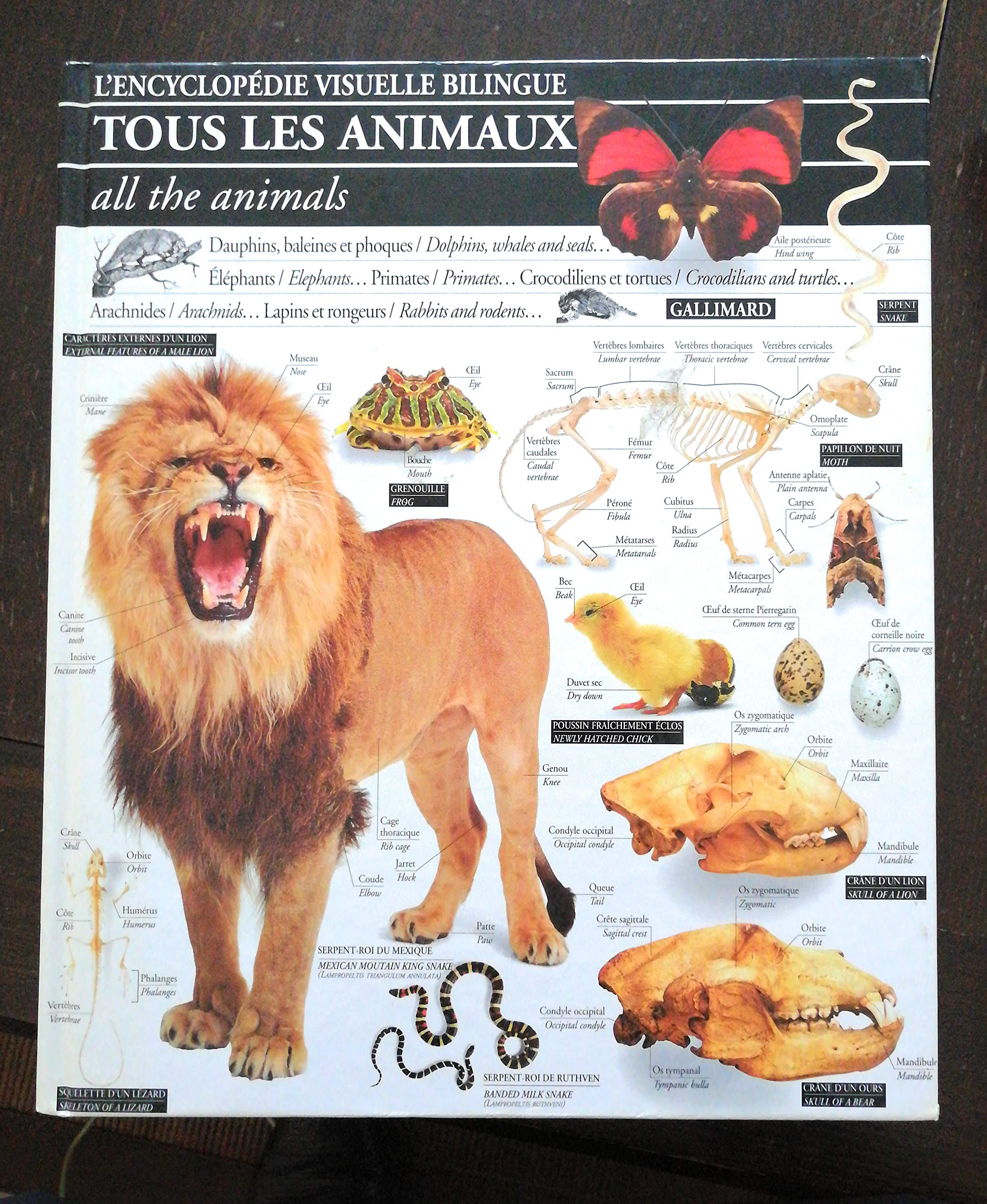 Tous les animaux 102097 9782070575121