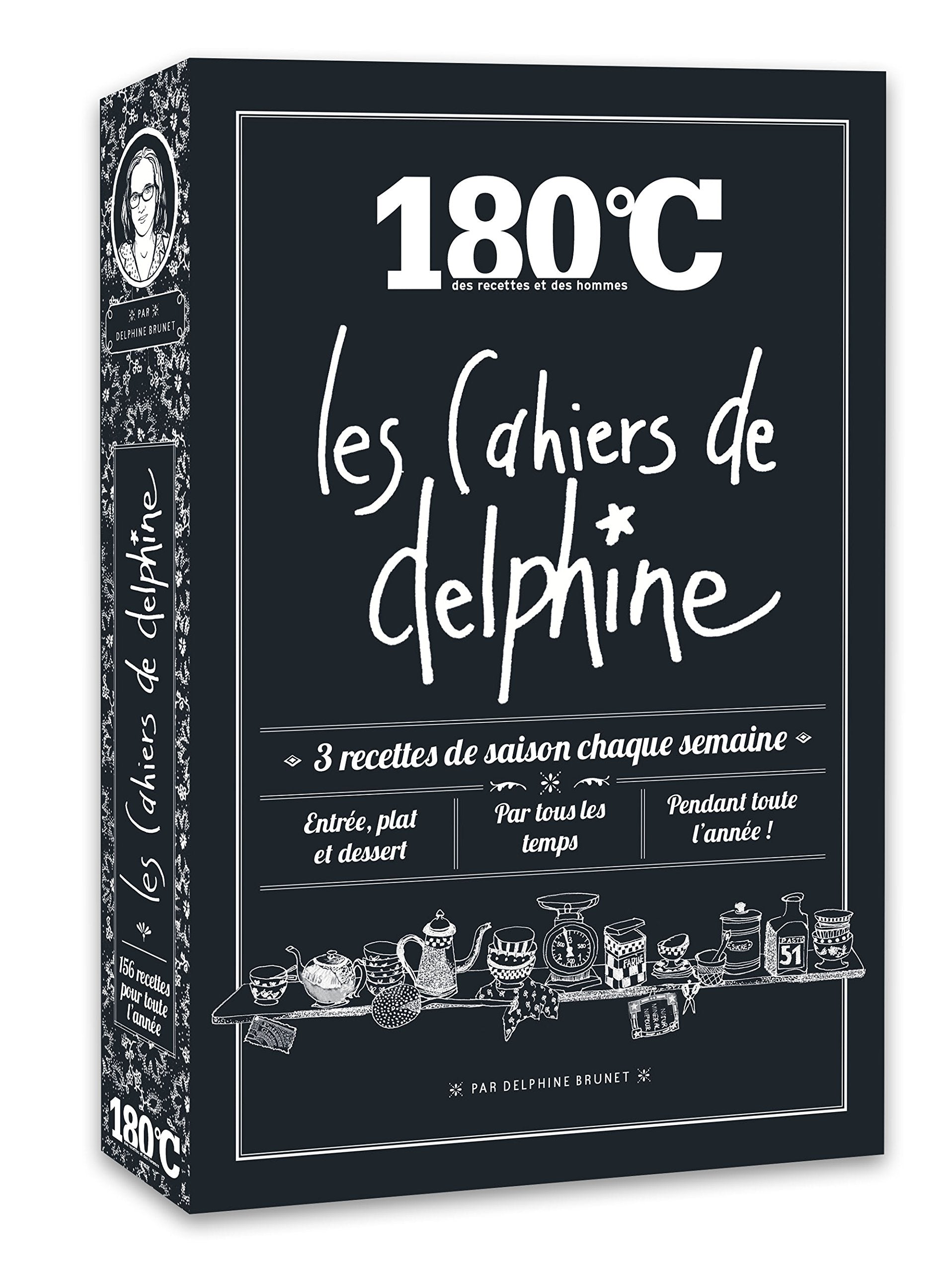 Les cahiers de Delphine: Coffret en 4 volumes : Printemps ; Eté ; Automne ; Hiver 9791092254167