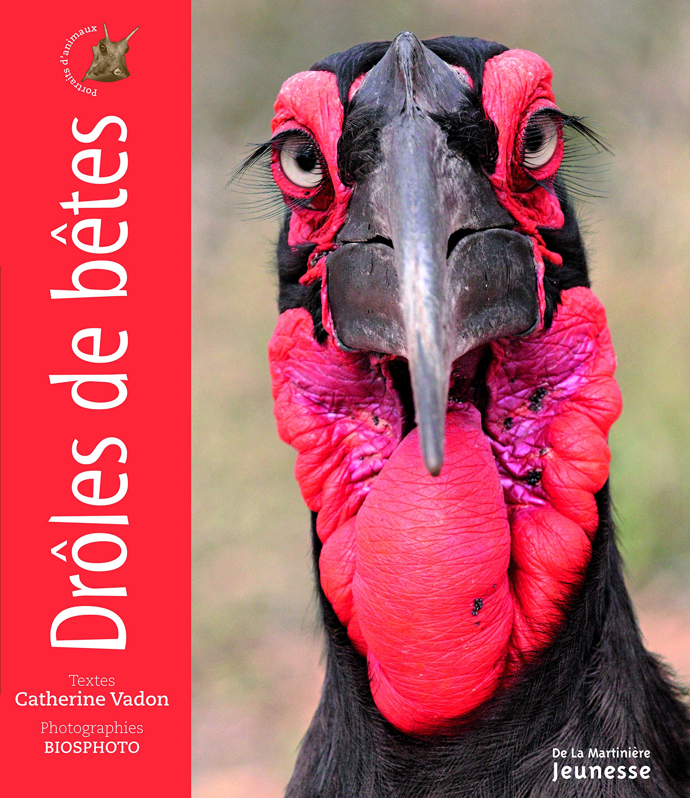 Drôles de bêtes 9782732448893