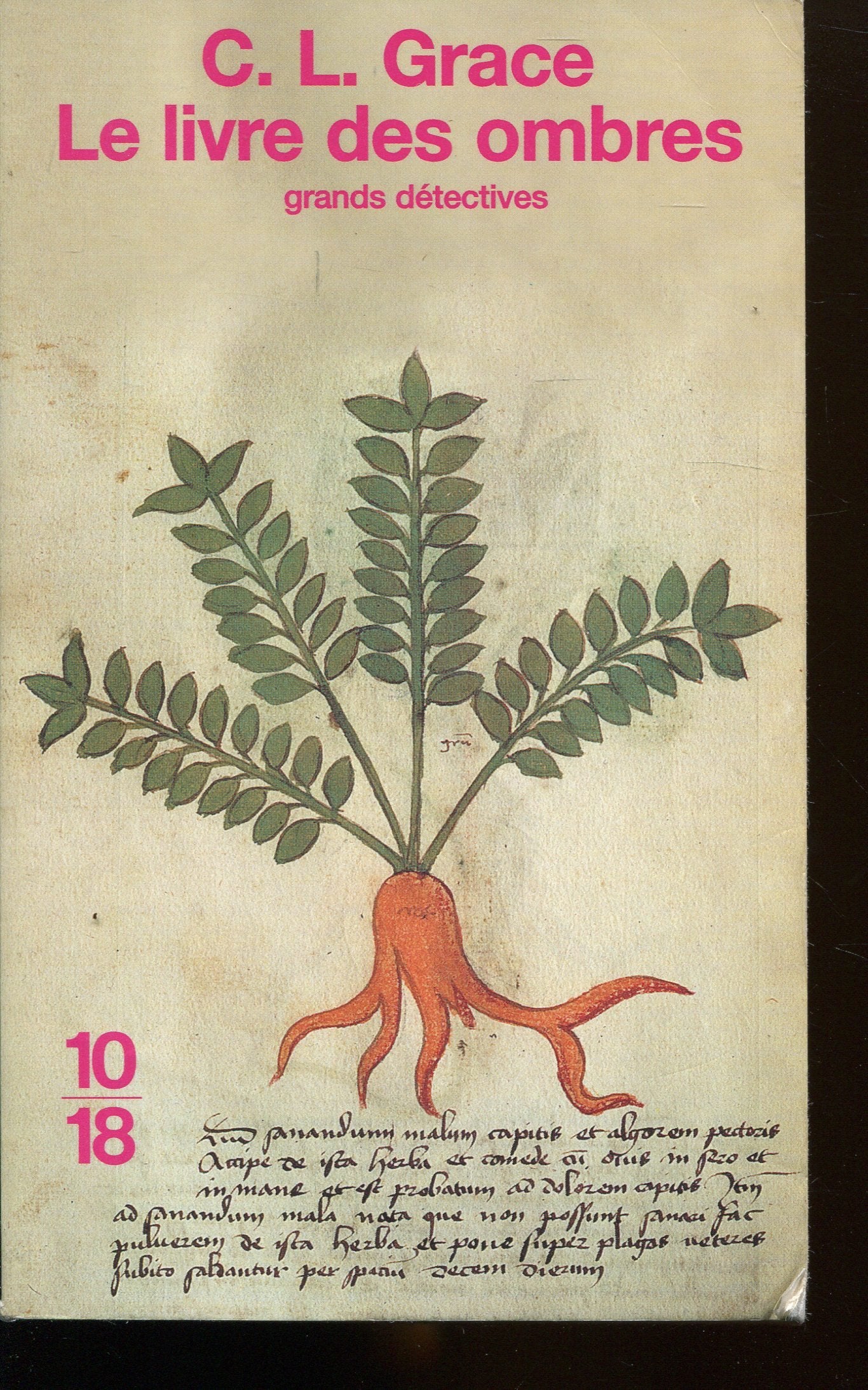 Le livre des ombres 9782264028167