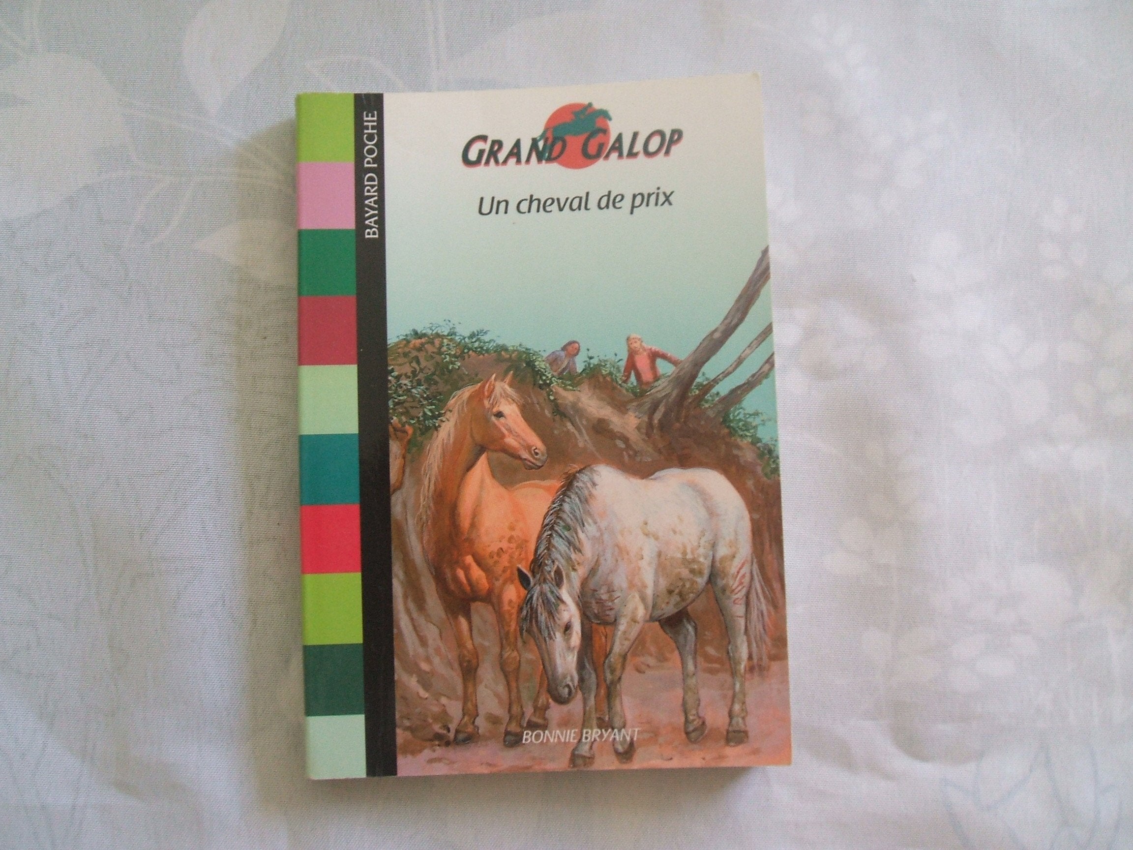 Un cheval de prix 9782747015561