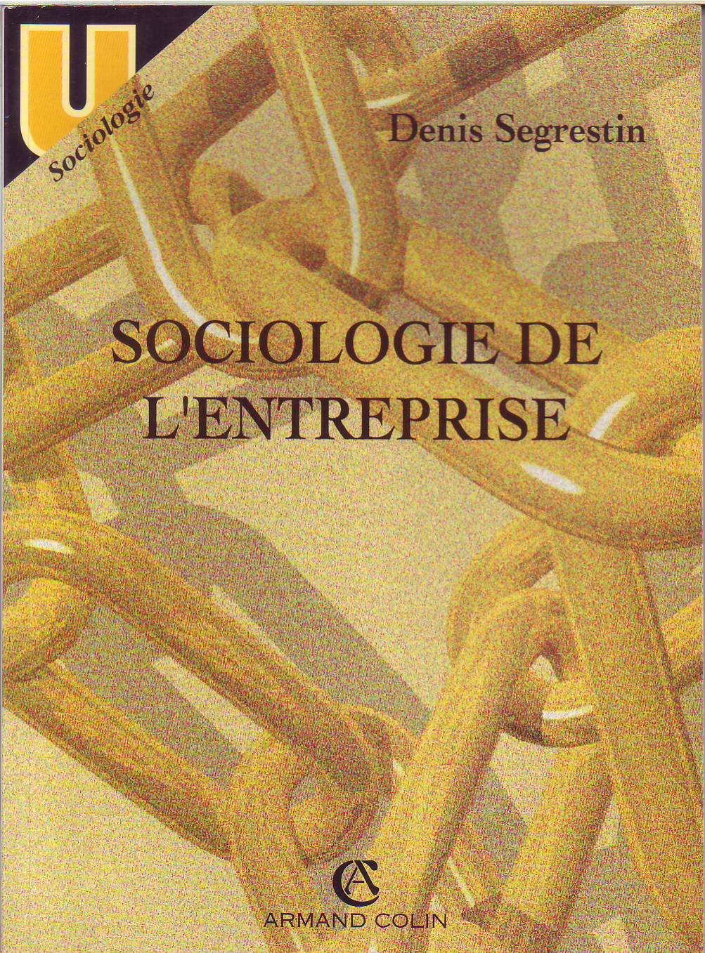 Sociologie de l'entreprise 9782200211882