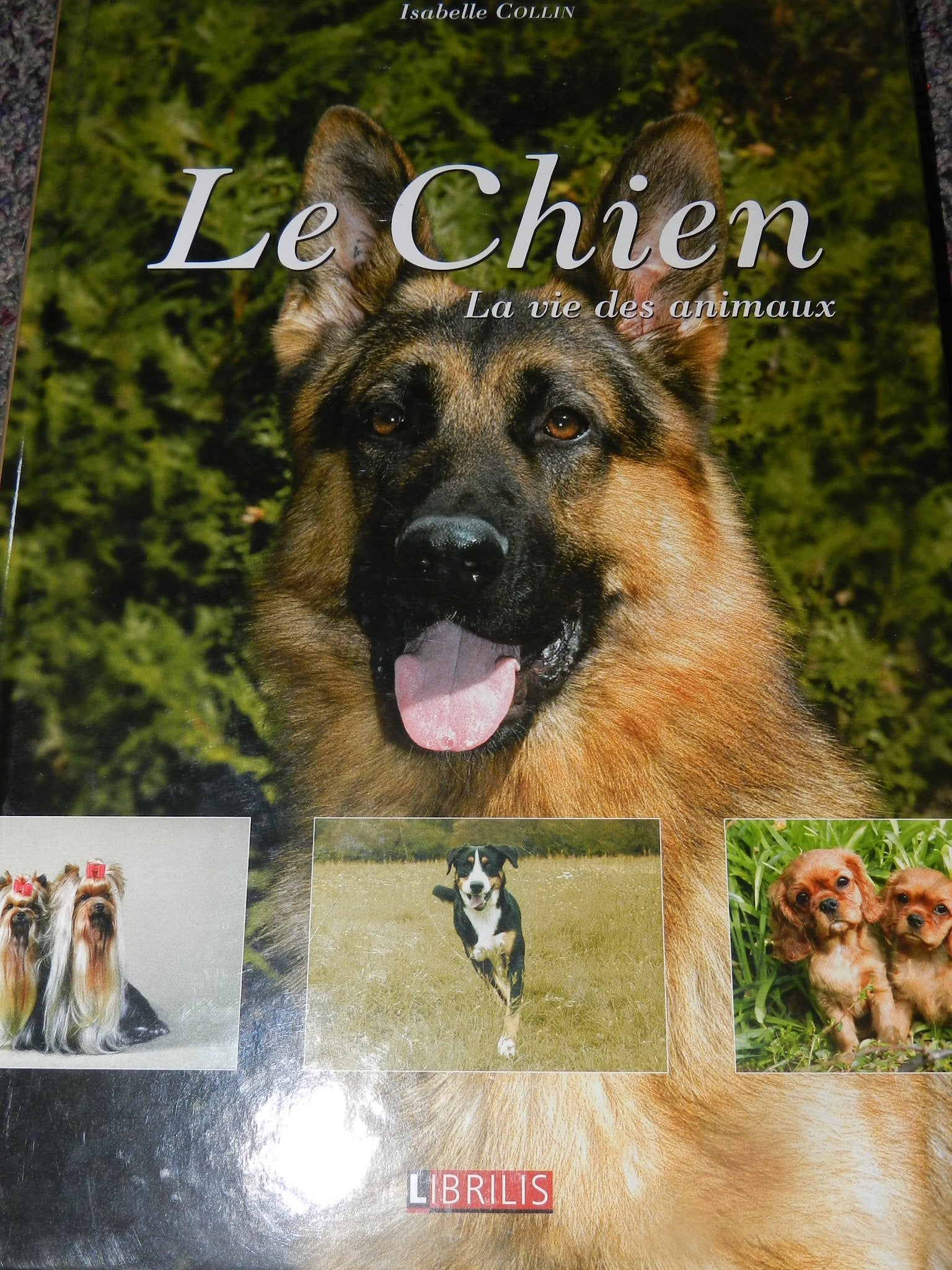 Le chien : La vie des animaux 9782848870267