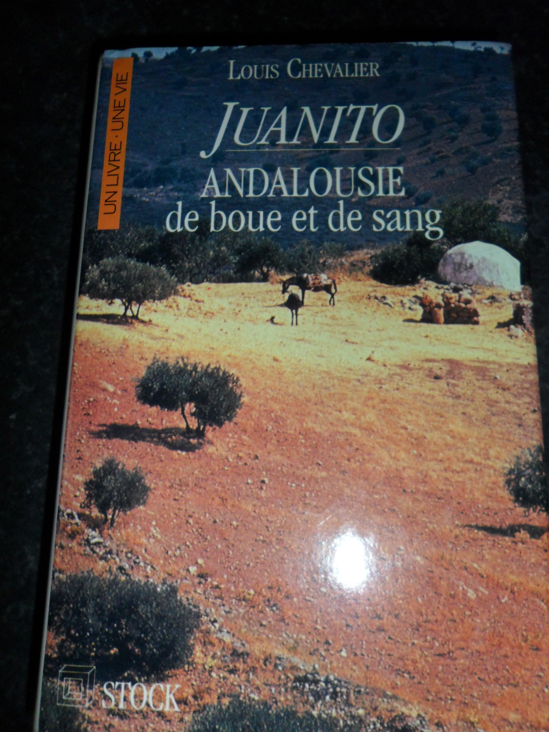 Juanito: Andalousie de boue et de sang 9782234022348