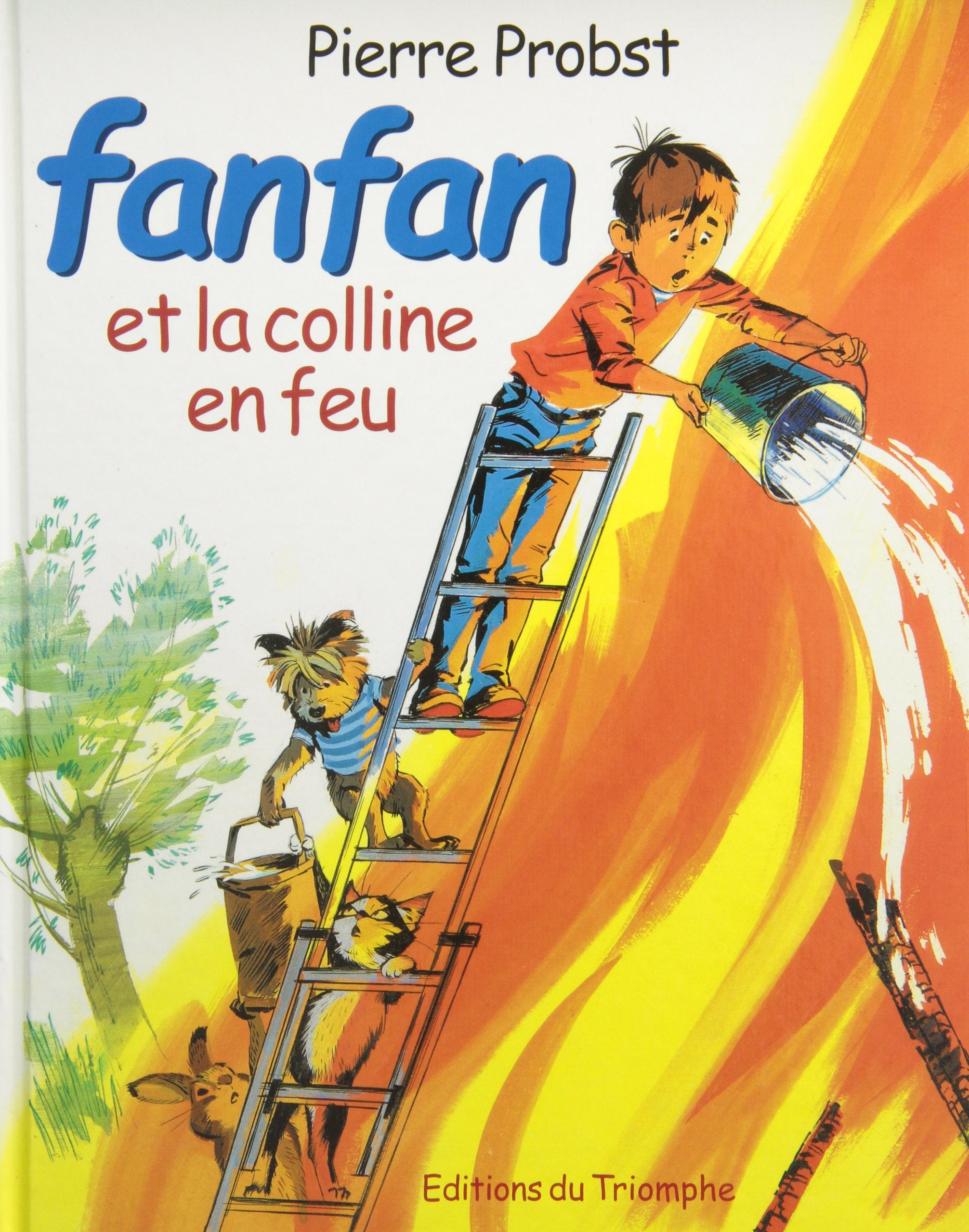 Fanfan et la colline en feu 9782843781896