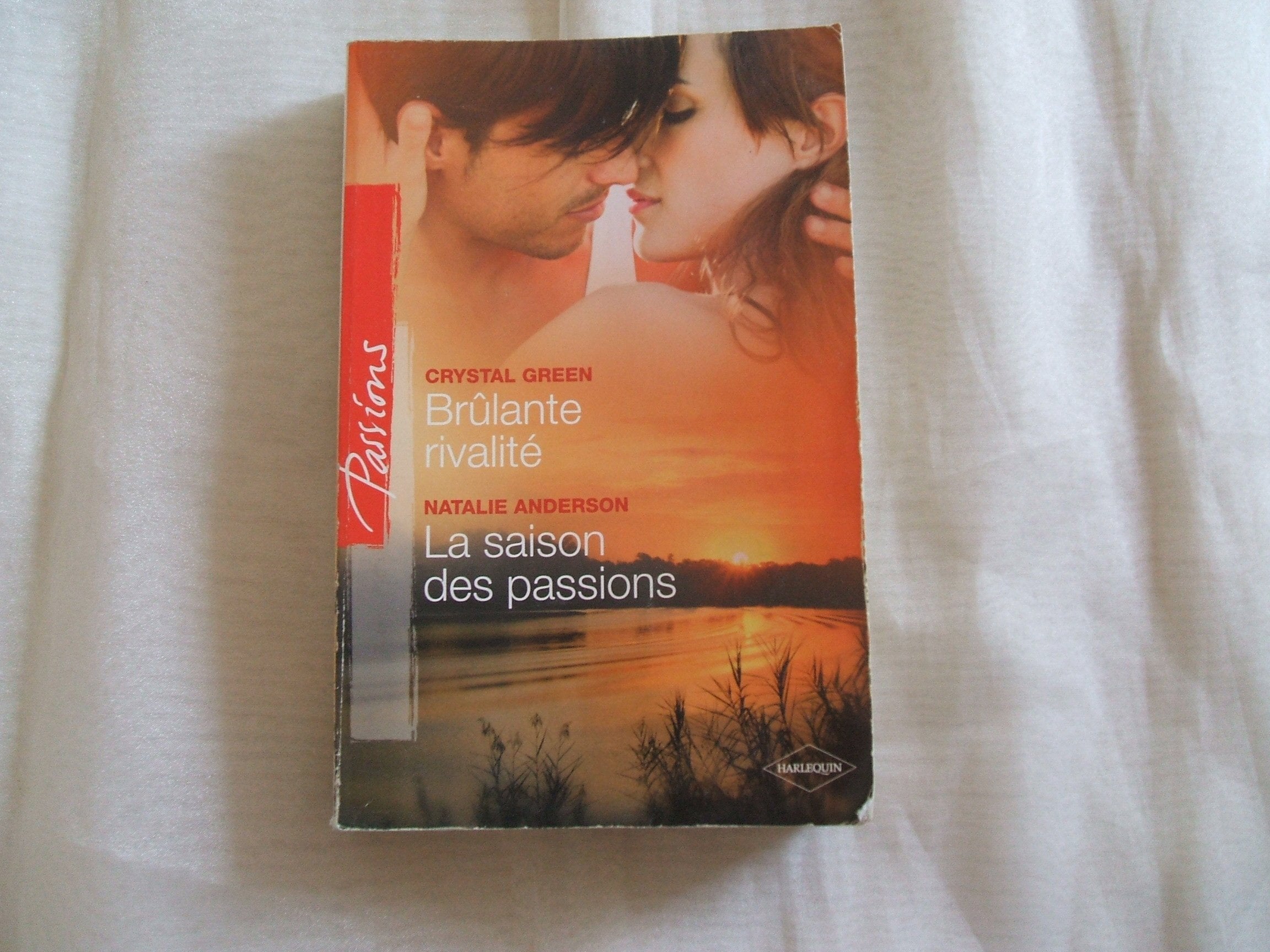 Brûlante rivalité ; La saison des passions 9782280233026