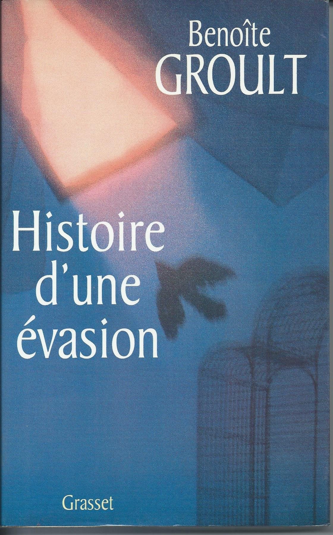 Histoire d'une évasion 9782246534815