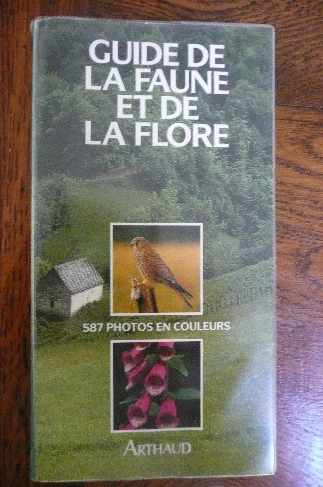 Guide de la faune et de la flore de nos regions 9782700308204