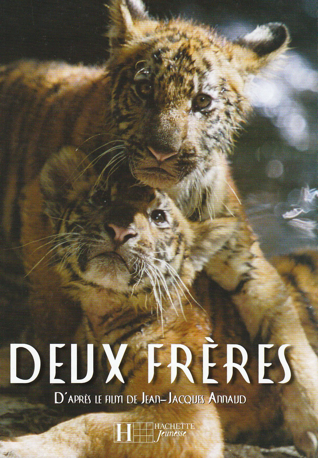 Deux frères (moyen format) 9782012246966