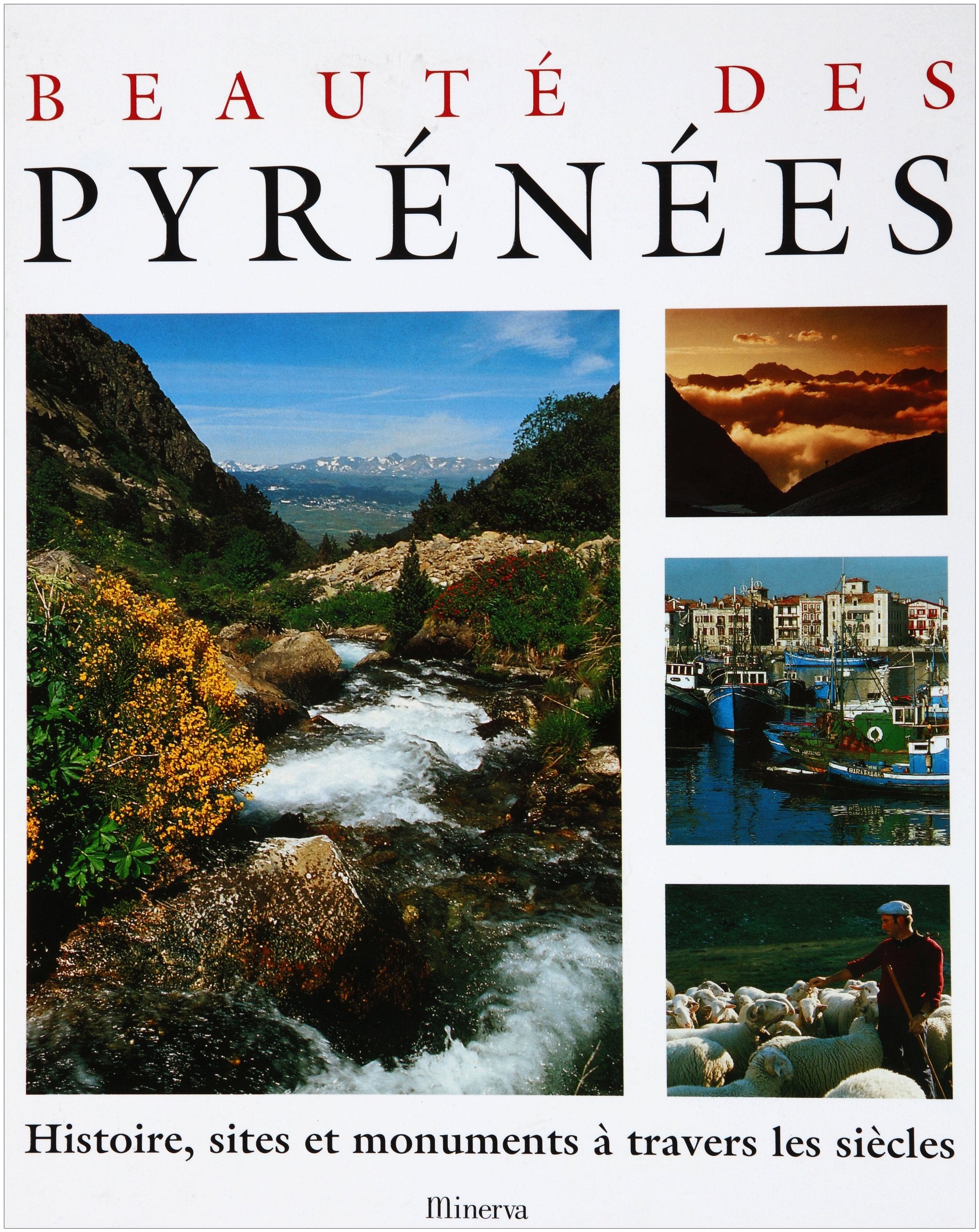Beauté des Pyrénéens : Son histoire, ses sites, ses monuments, à travers les siècles 9782830703160