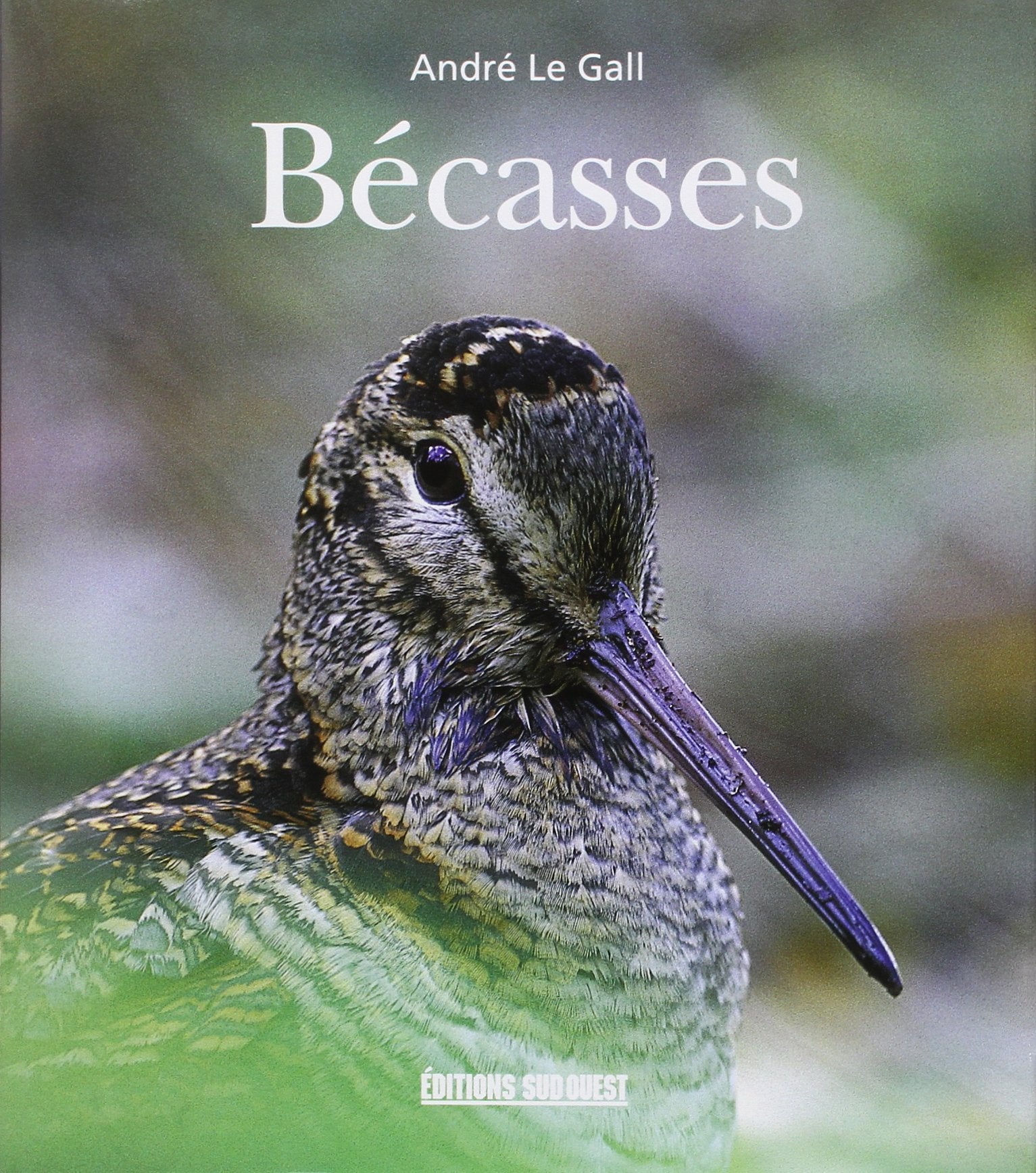 Becasses 9782879015392