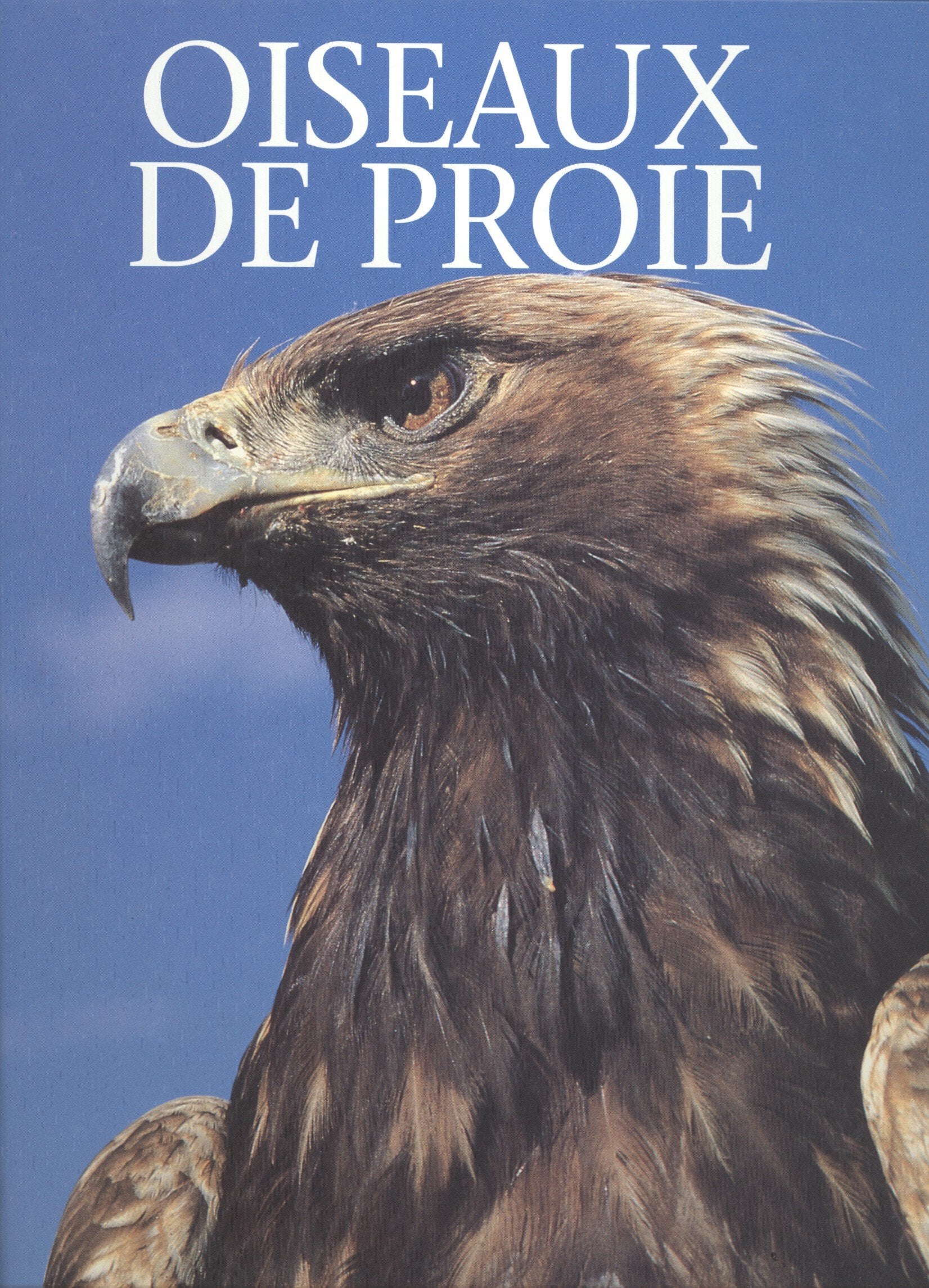 Oiseaux de proie. 9782876285811