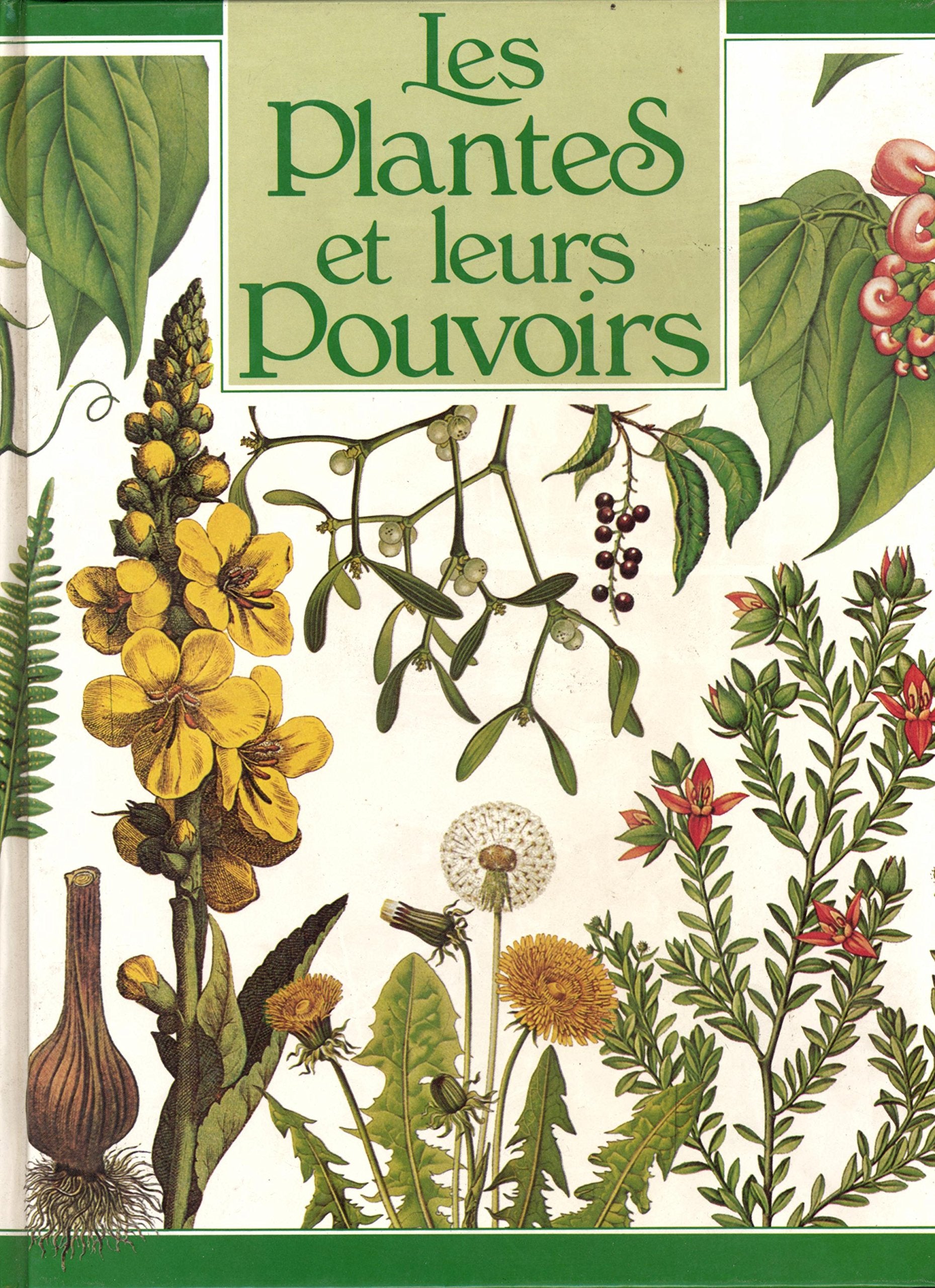 Les plantes et leurs pouvoirs 9782724237931