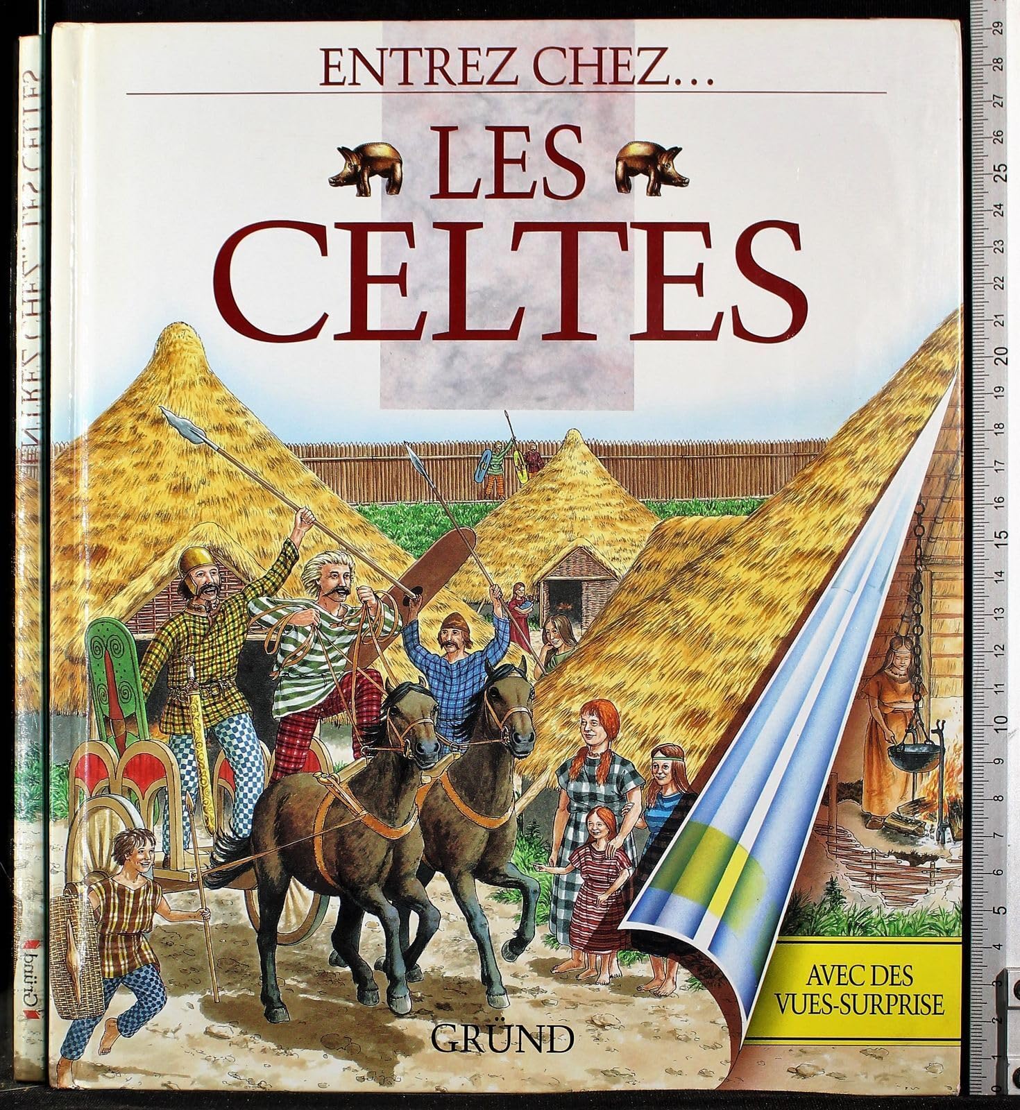 Les Celtes 9782700050639