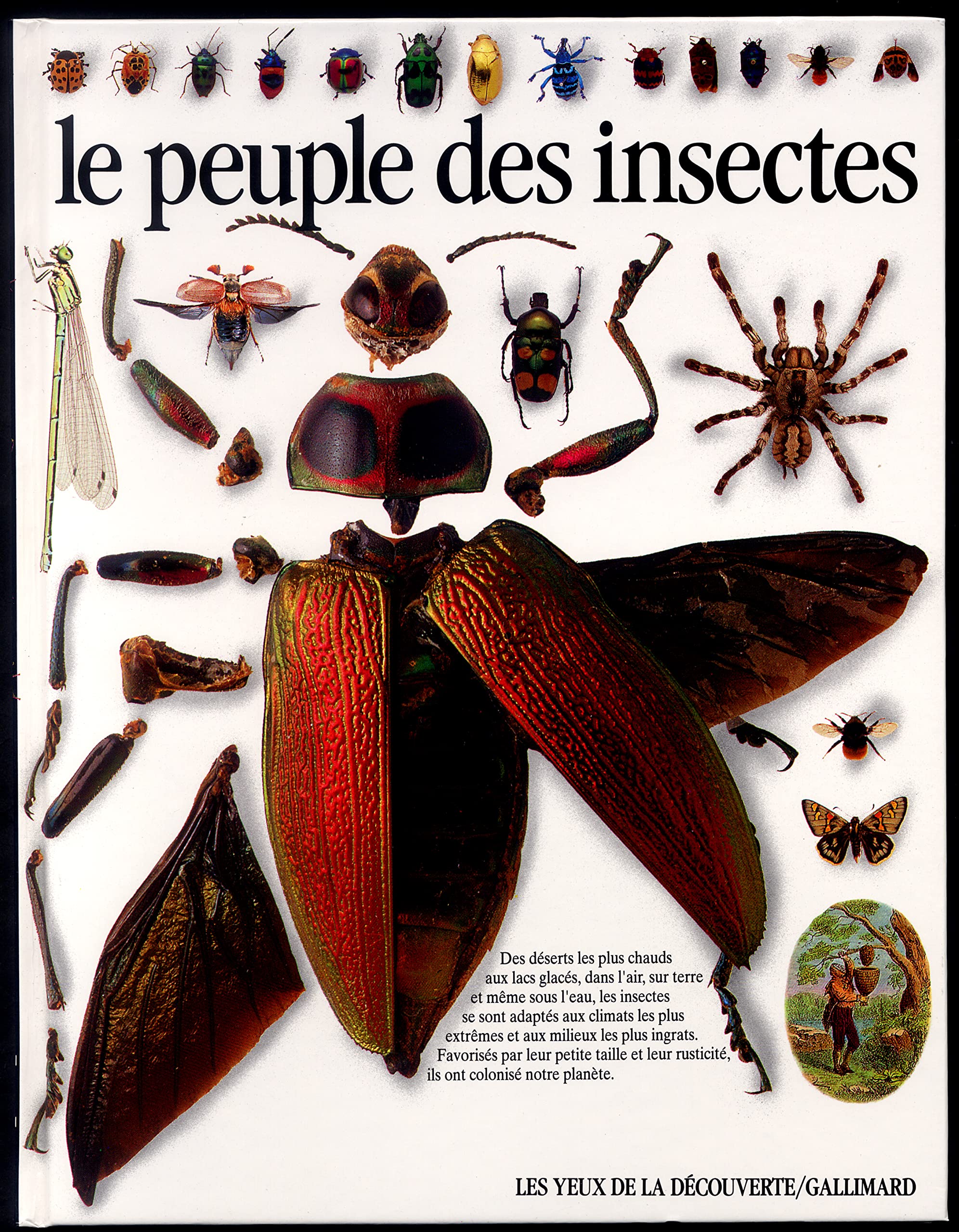 LE PEUPLE DES INSECTES 9782070565030