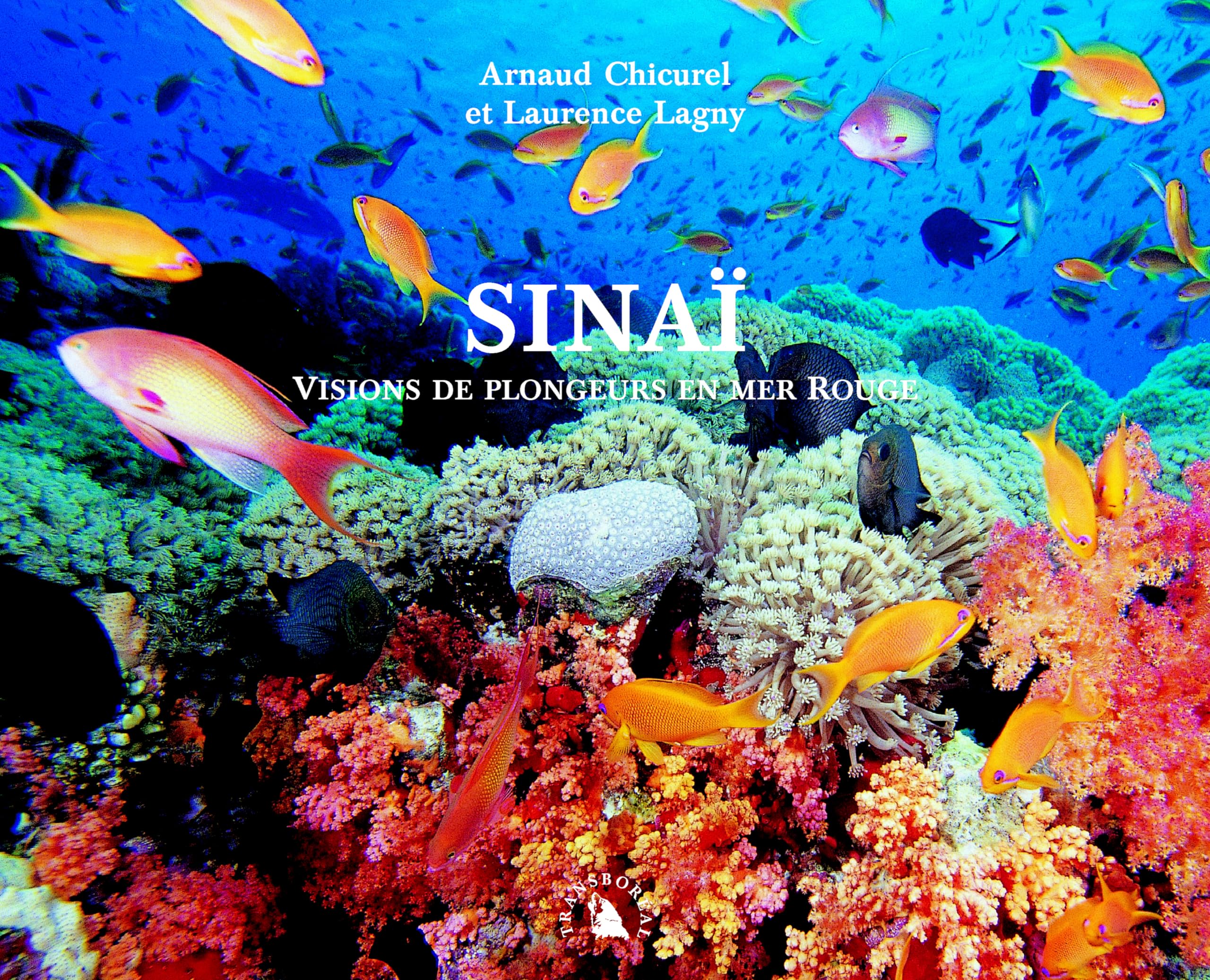 Sinaï. Visions de plongeurs en mer Rouge 9782913955219