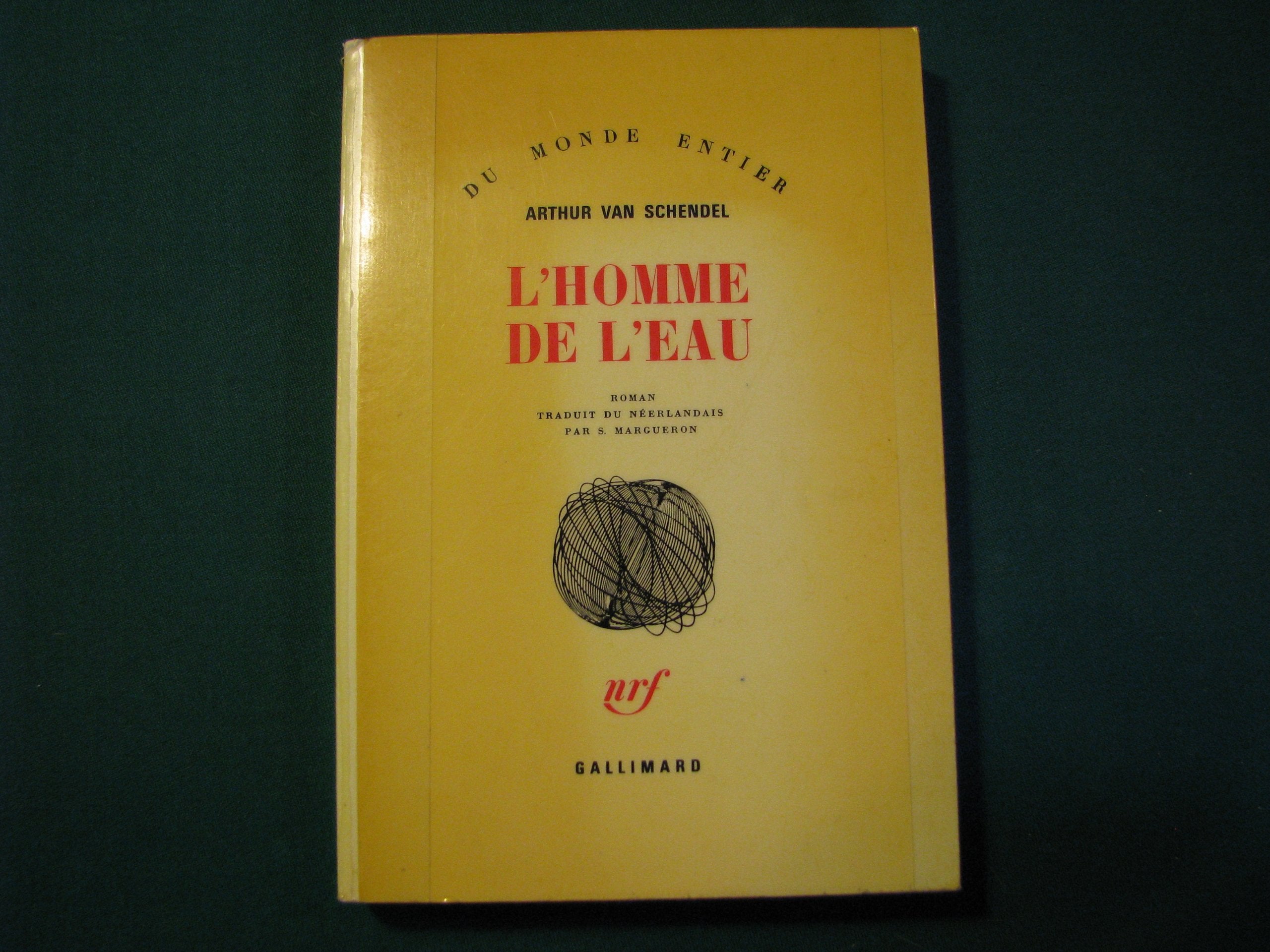 L'homme de l'eau 9782070218509