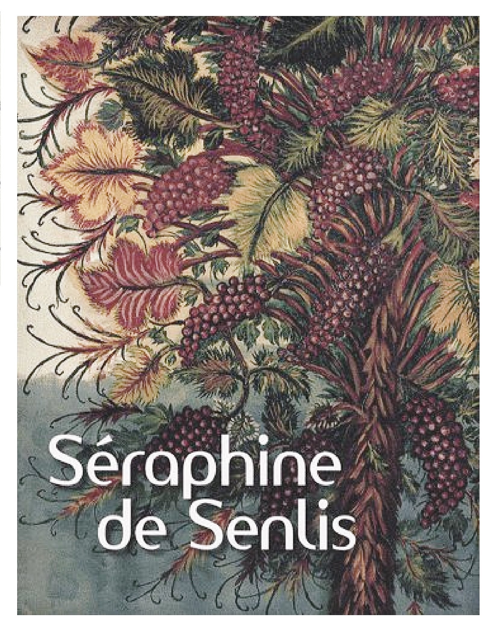 Séraphine de Senlis 9782070122370