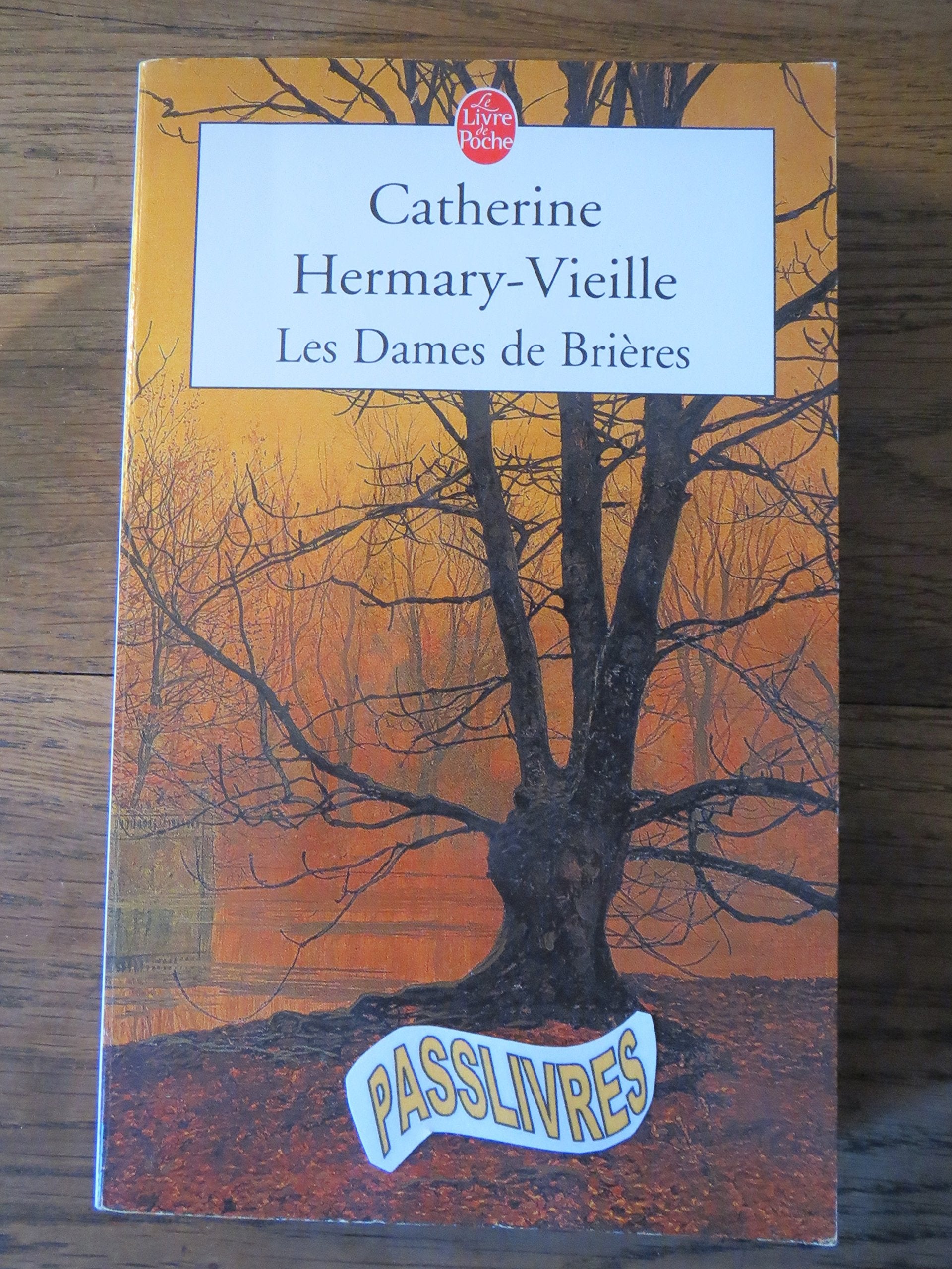 Les Dames de Brières, numéro 1 9782253149873
