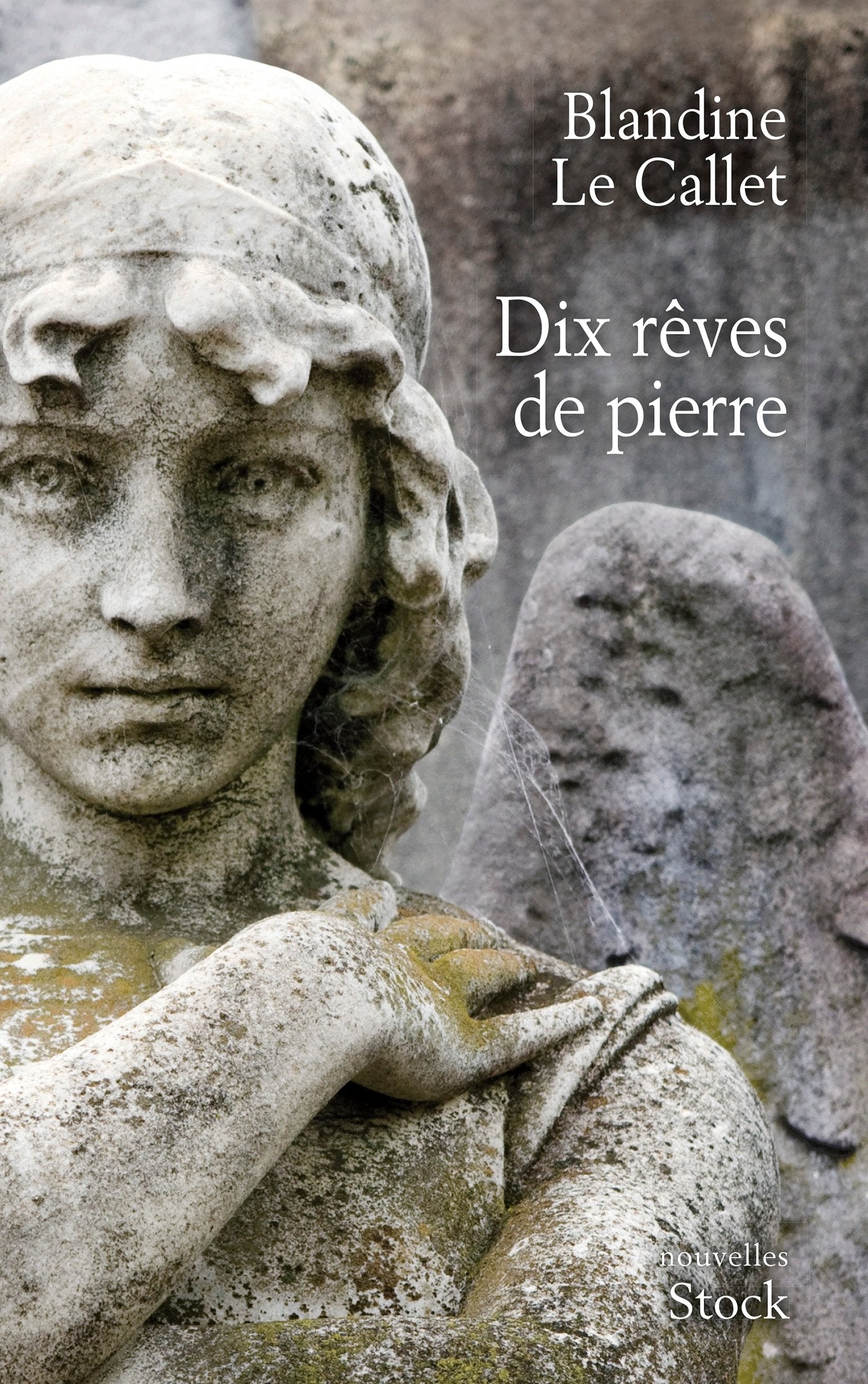 Dix rêves de pierre 9782234074774