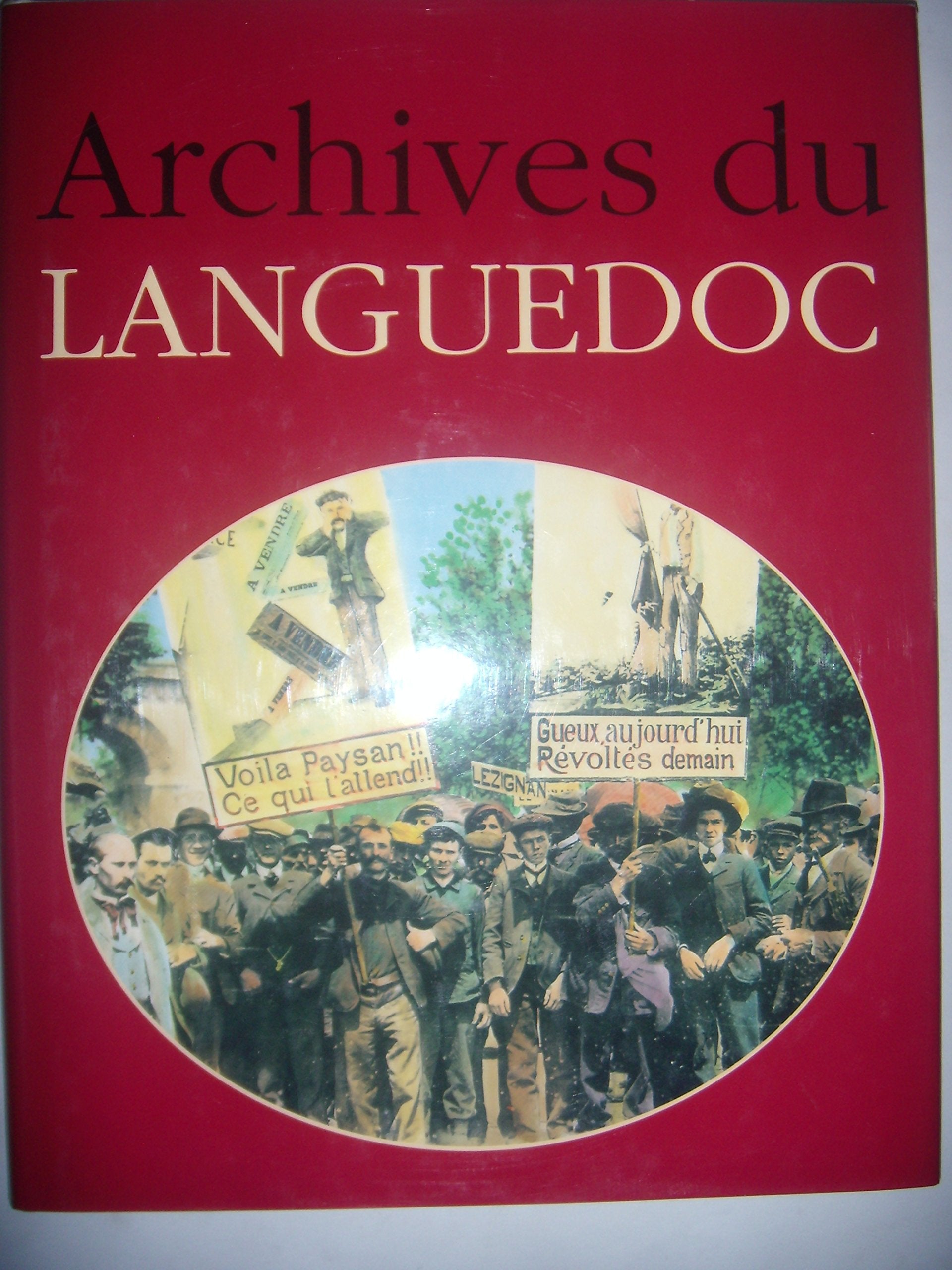 Archives du Languedoc 9782851320407