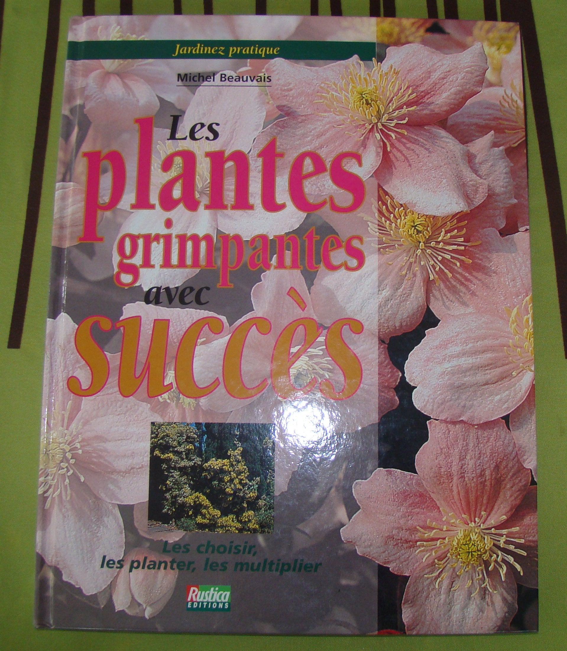 Les Plantes grimpantes avec succès 9782840382430