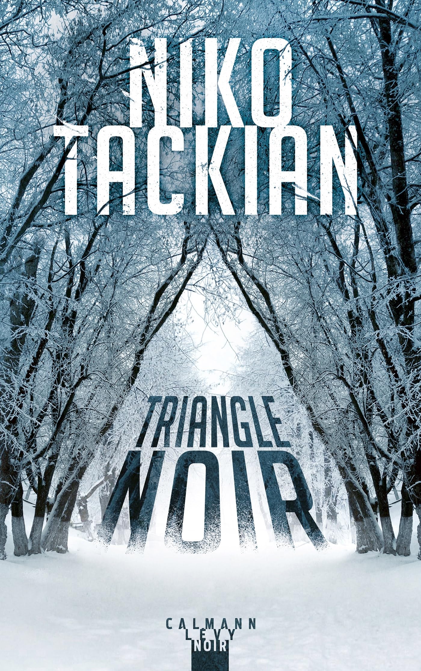 Triangle noir 9782702184011