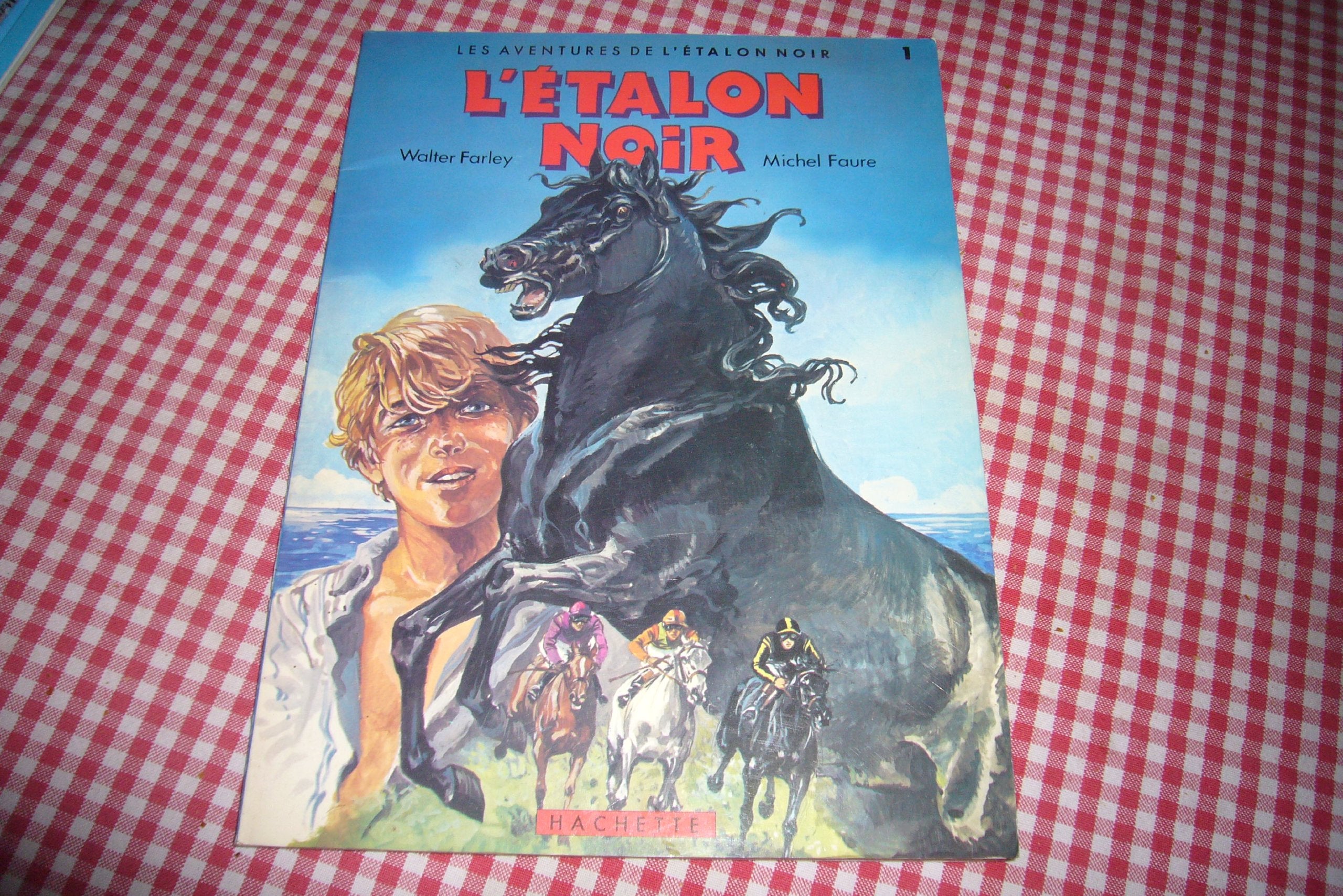 Les Aventures de l'étalon noir 9782010082085