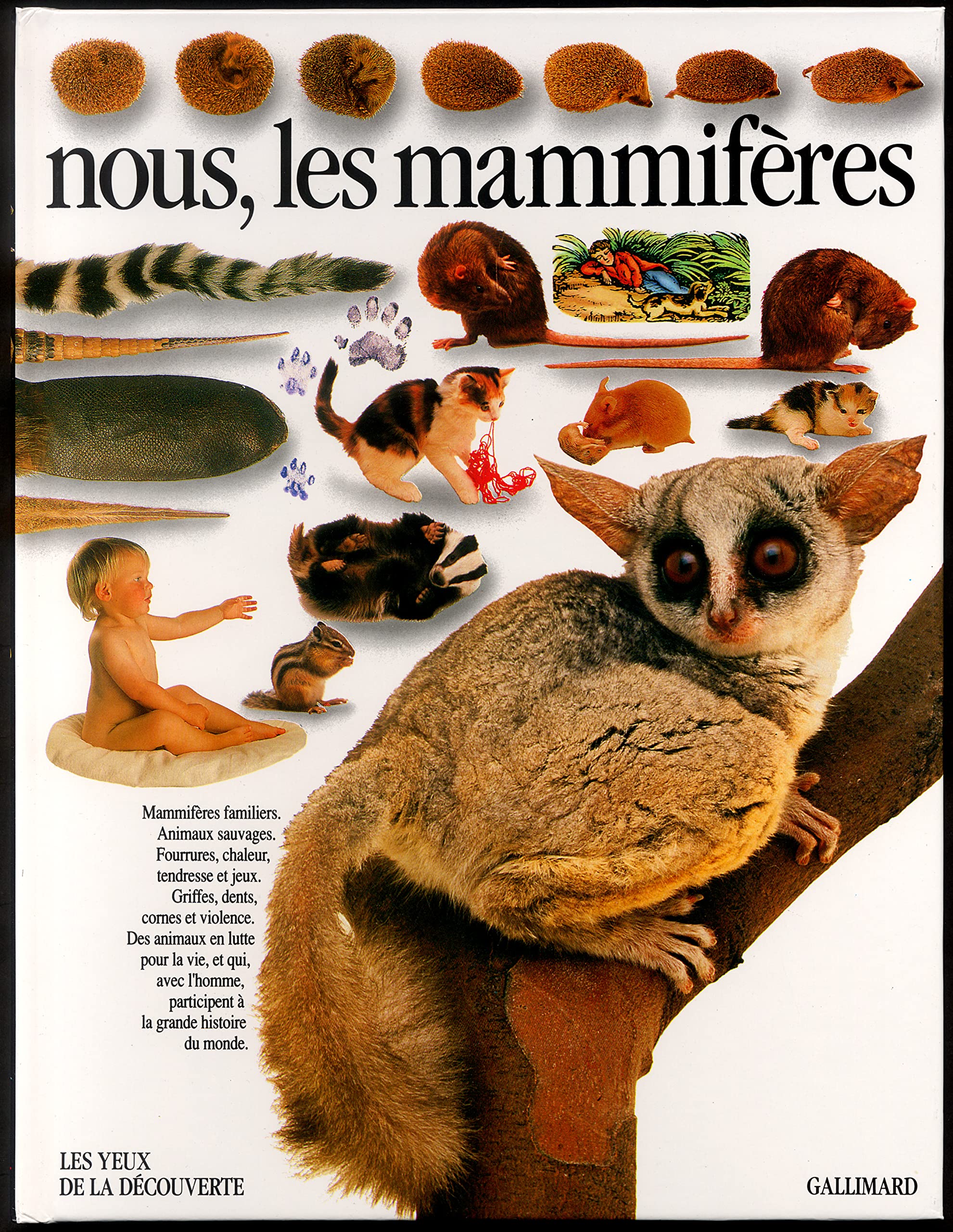 Nous, les mammifères 9782070564415
