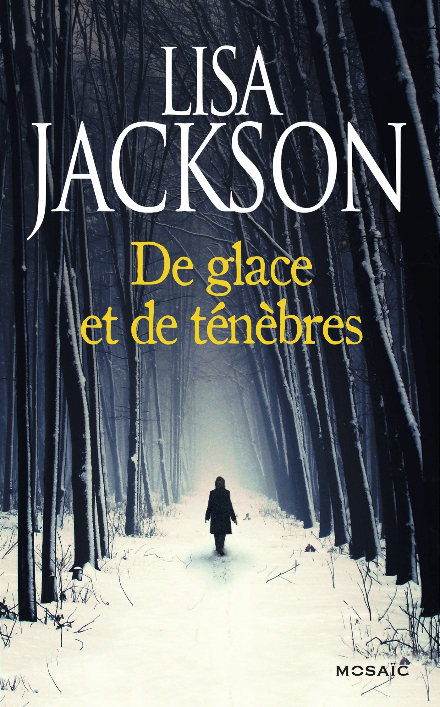 De glace et de ténèbres 9782280278485