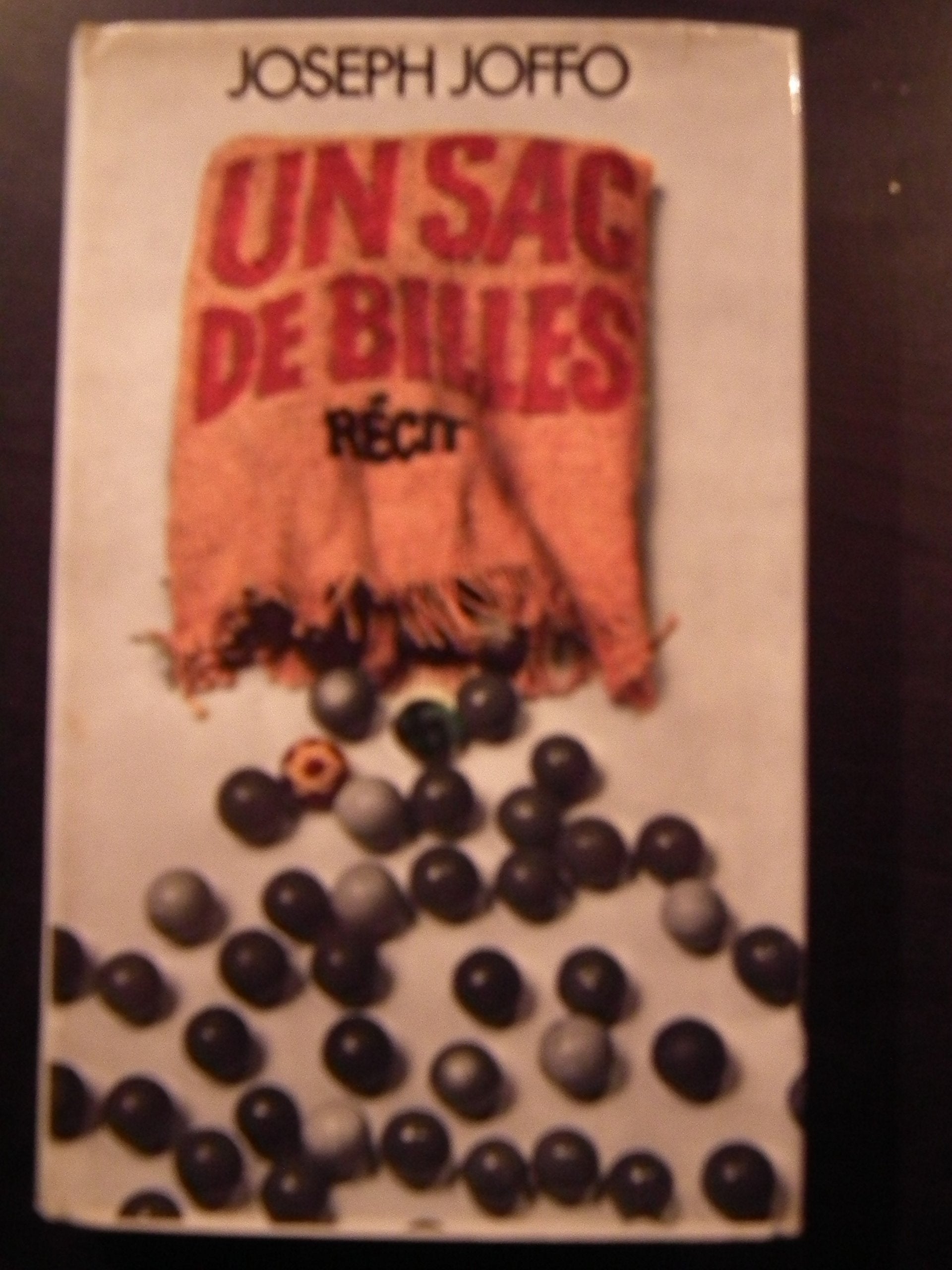 Un Sac De Billes - Récit