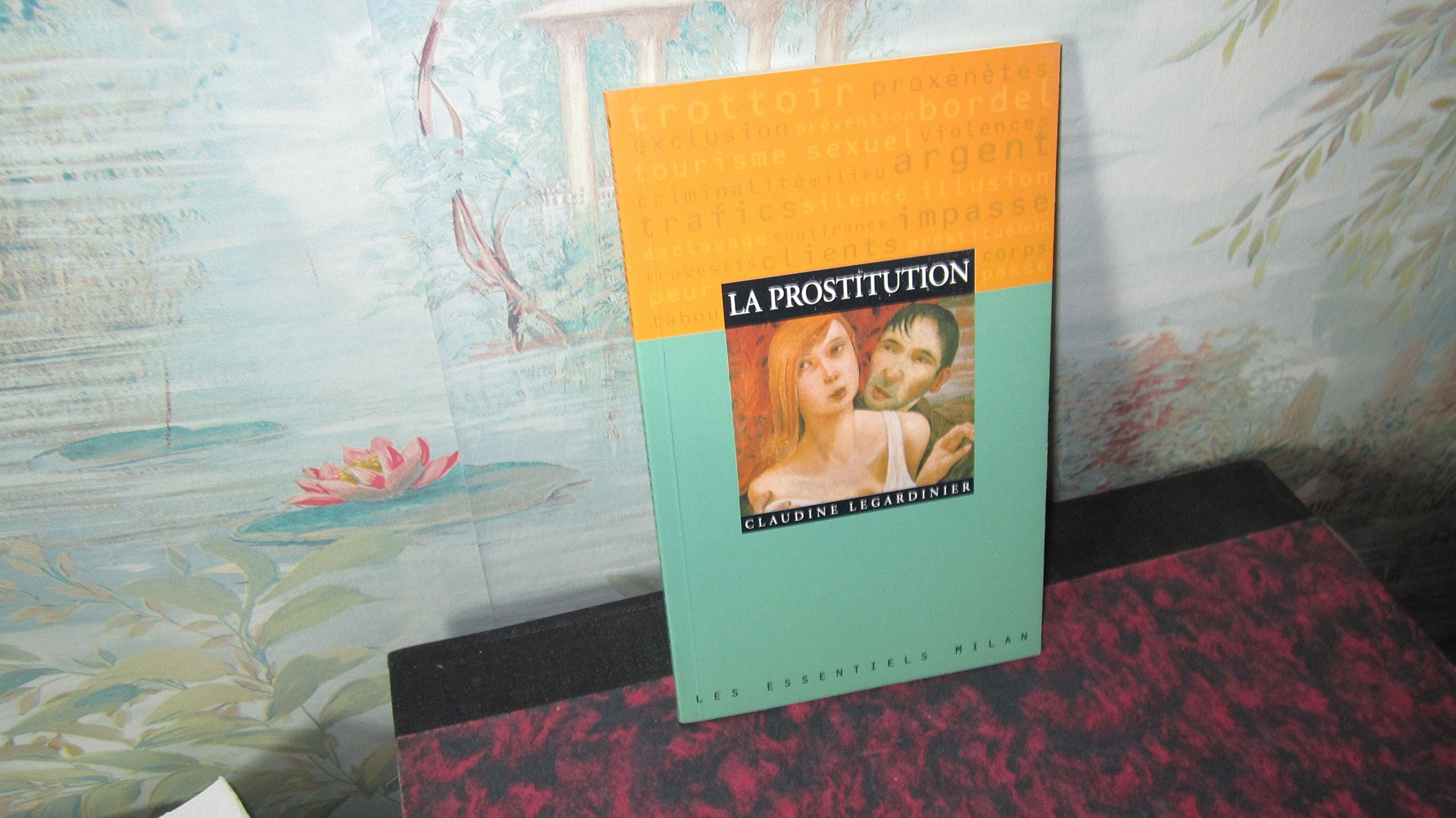 La prostitution 9782841134571