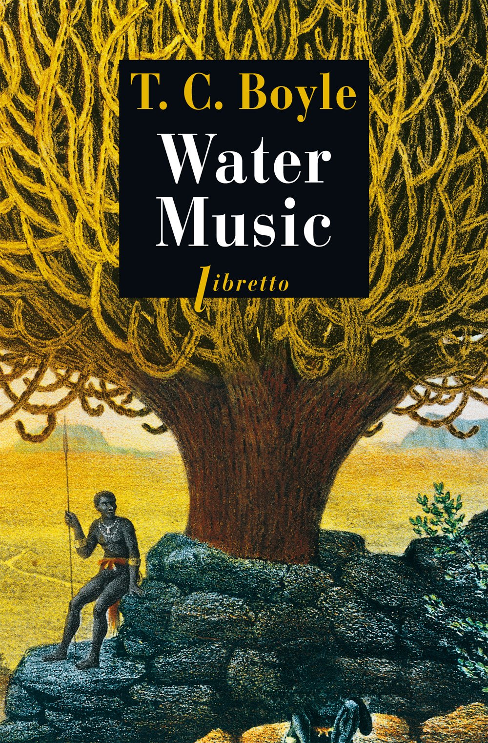 Water Music 9782859405311
