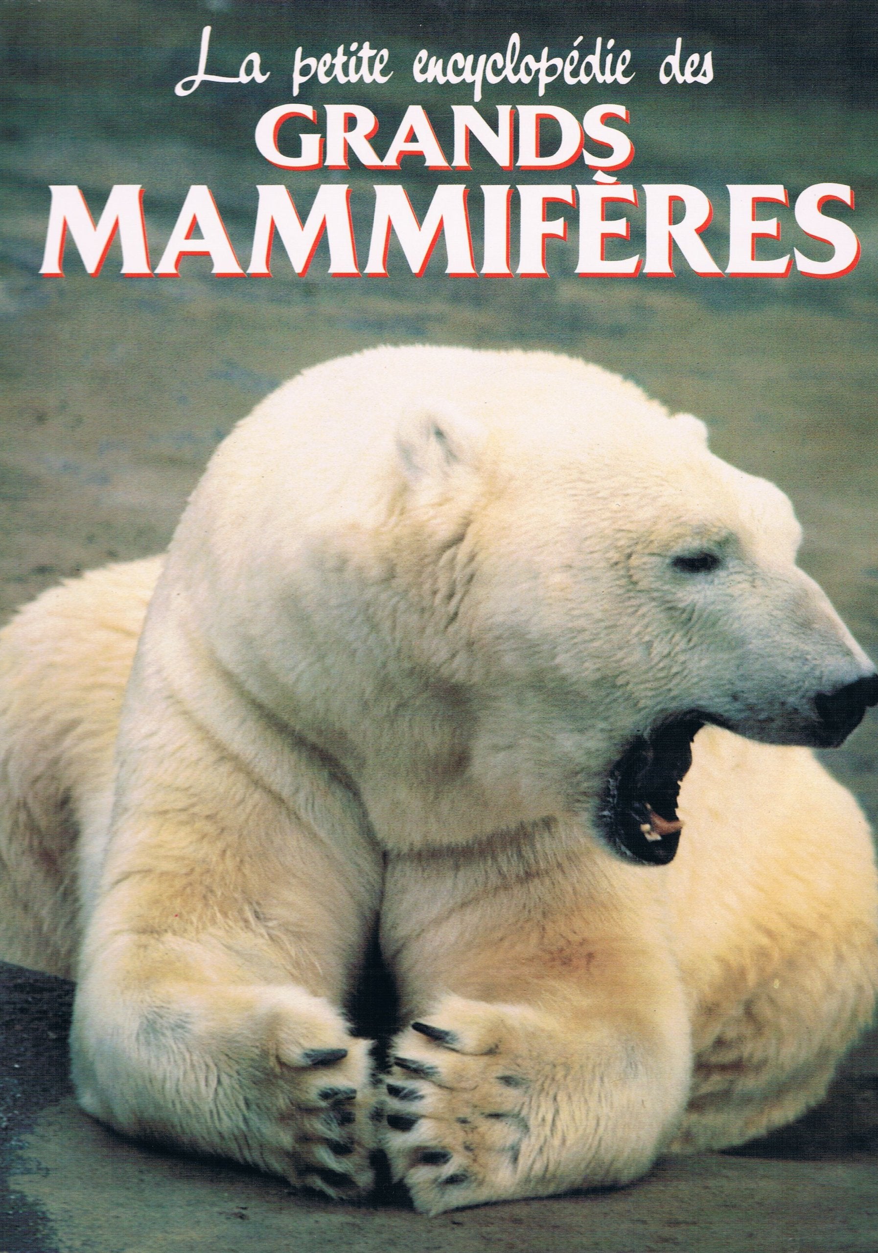 La petite encyclopédie des grands mammifères 9782040197650