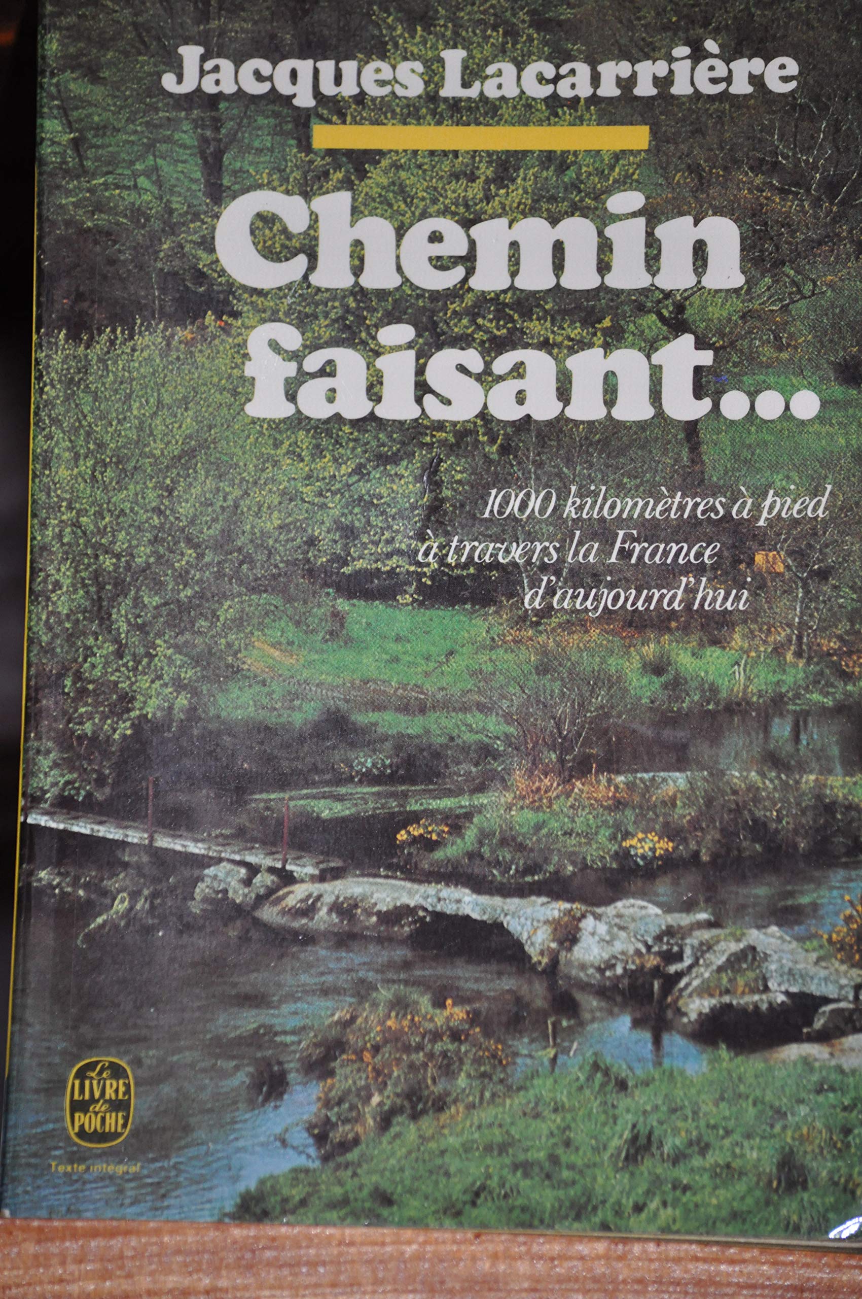 CHEMIN FAISANT 9782253019619