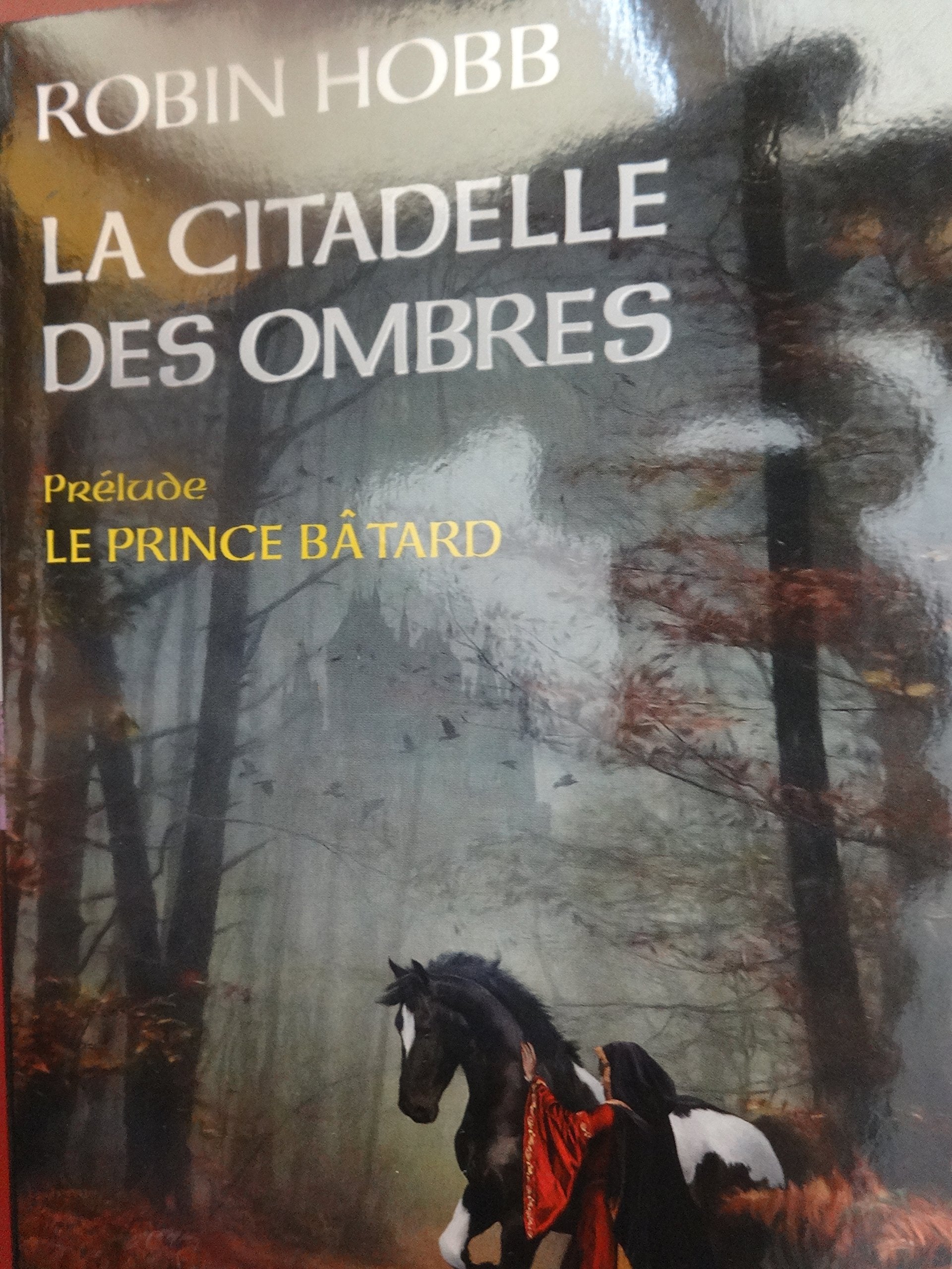 La citadelle des ombres : Le prince bâtard (Prélude) 9782298092295