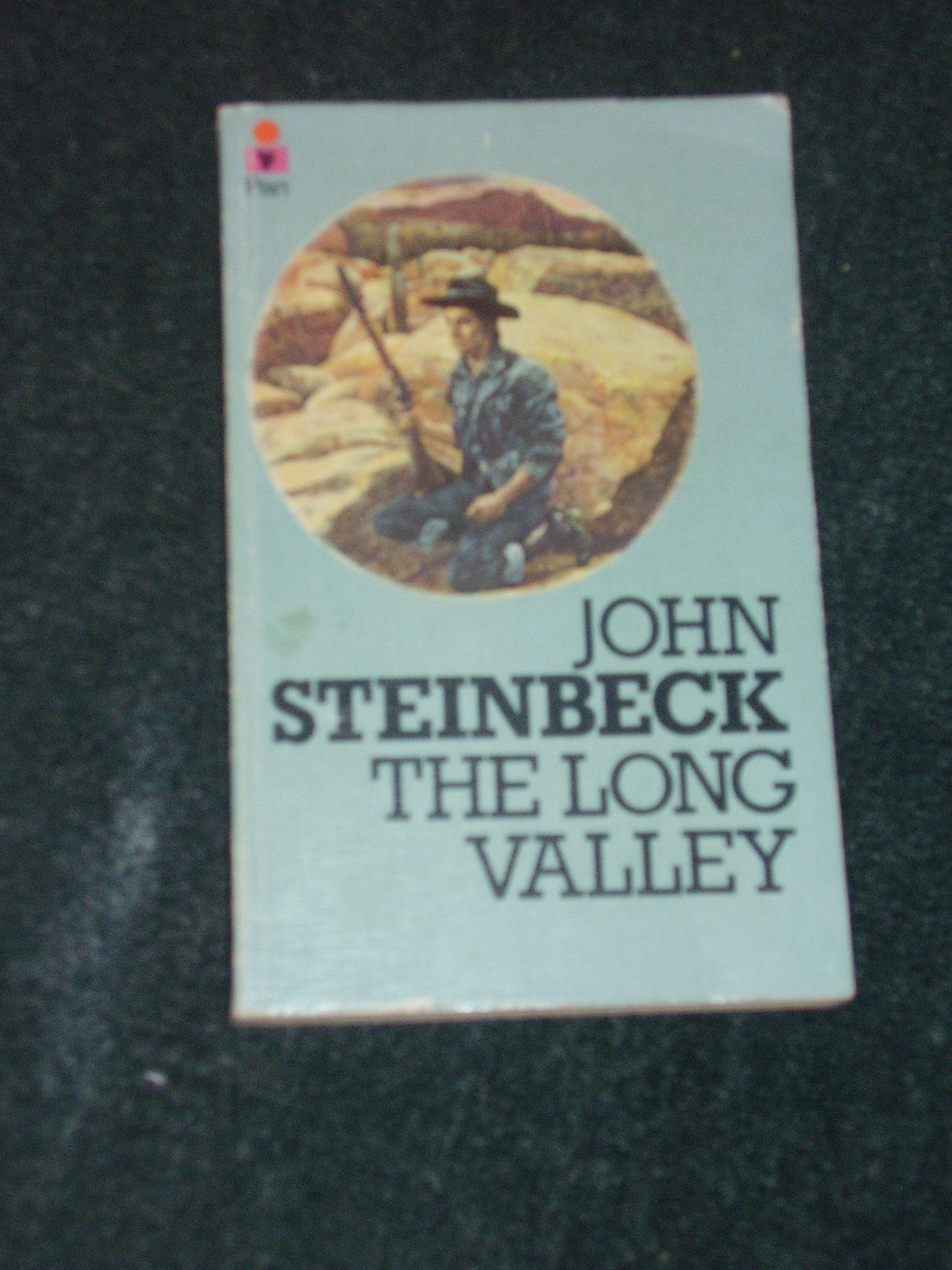 The Long Valley 9780330245555