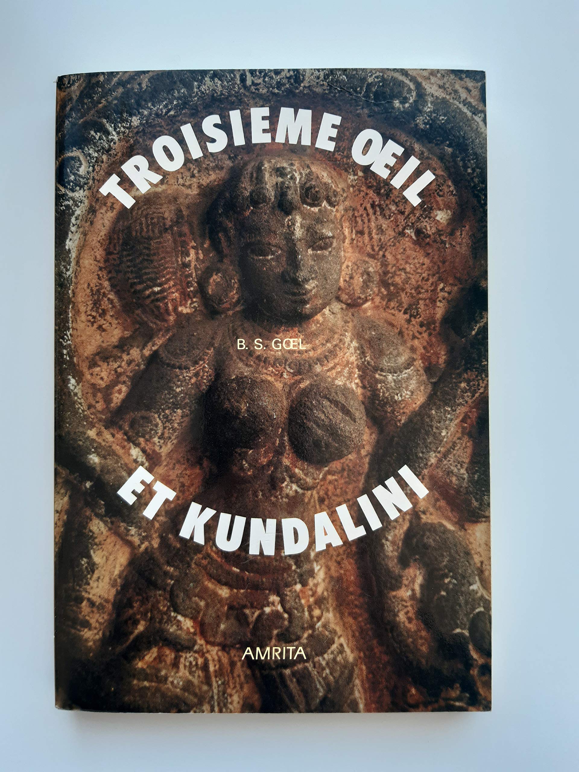Le troisieme oeil et la kundalini / recit d'une ascension spirituelle 9782904616853