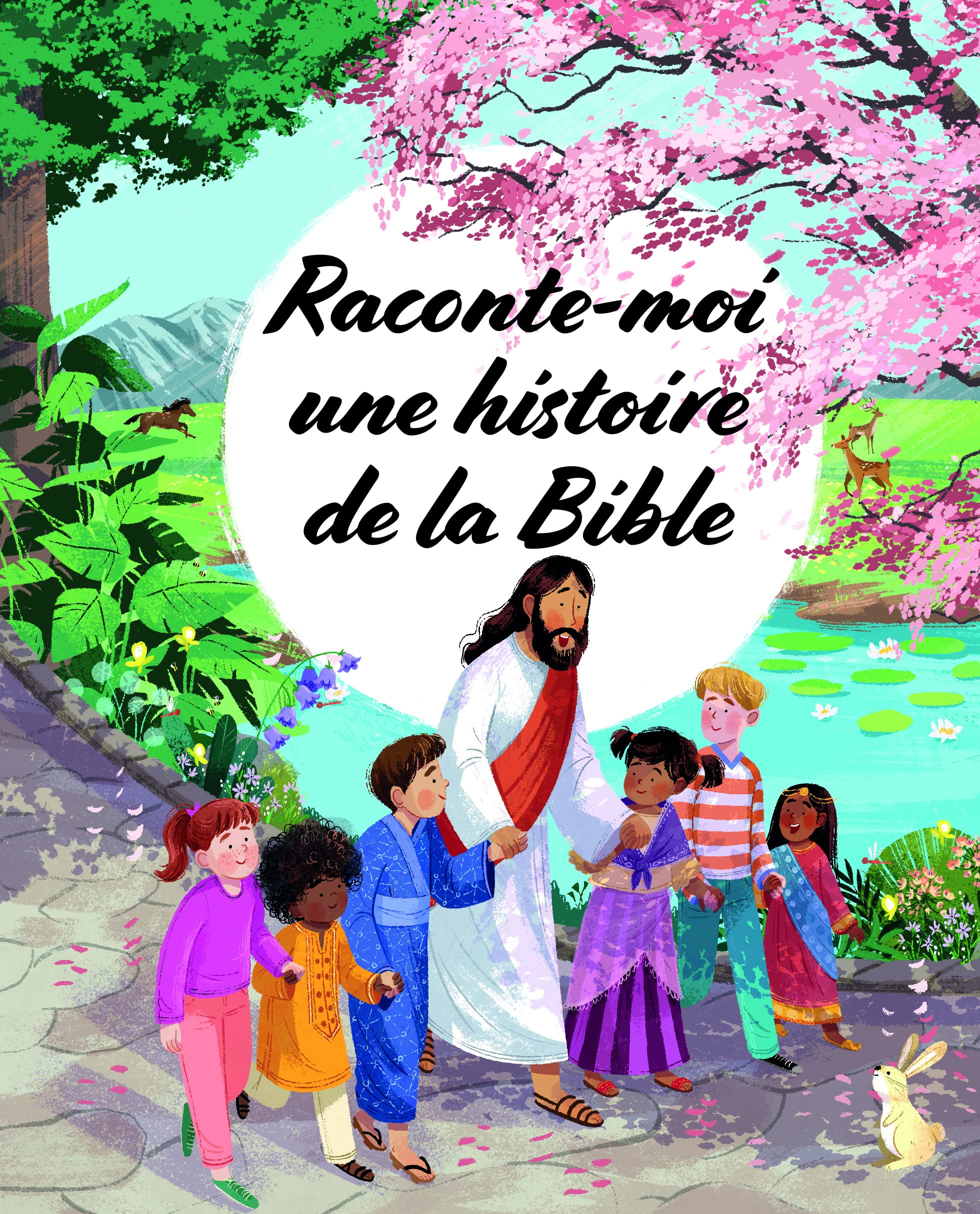 Raconte-moi une histoire de la Bible 9782853008037