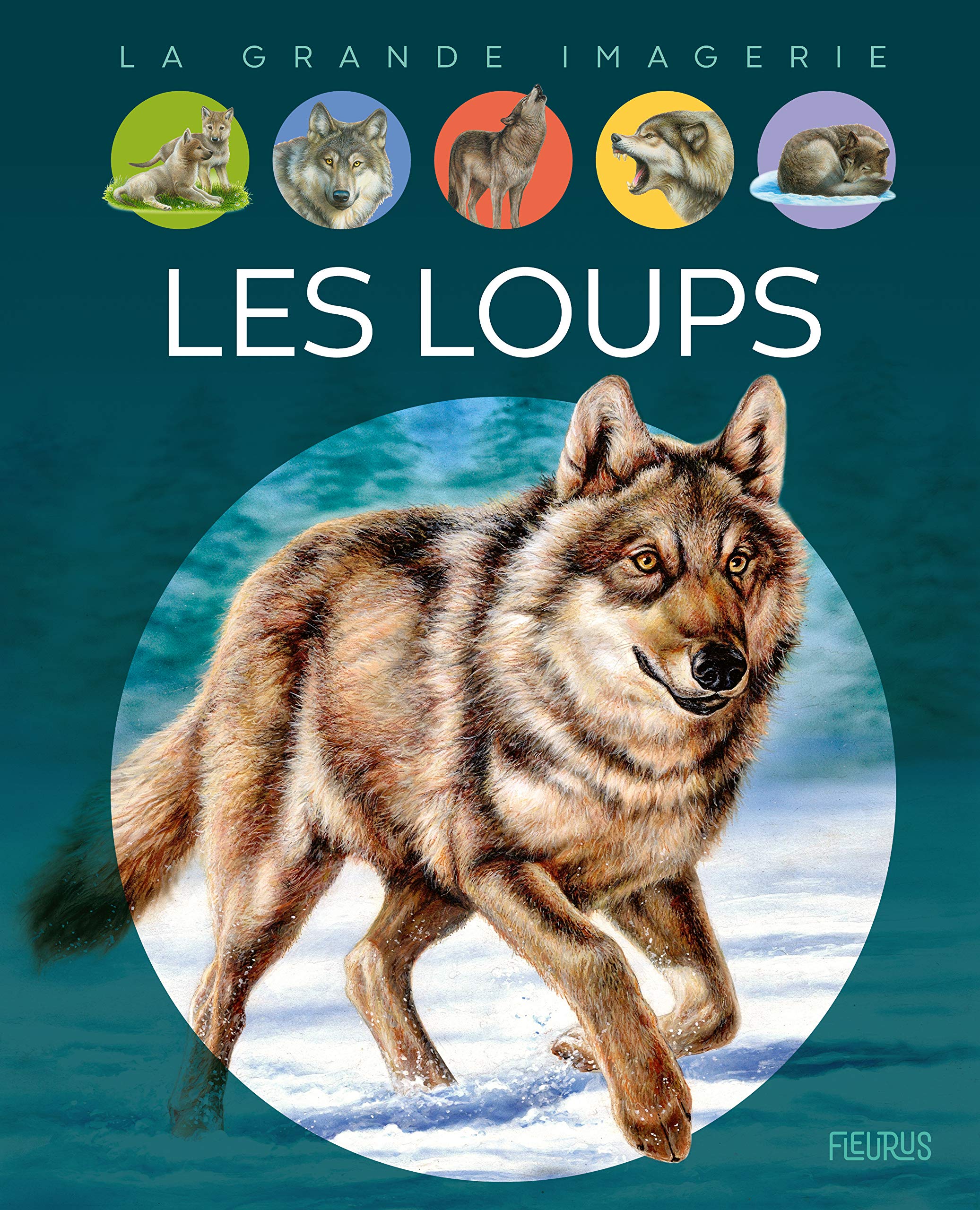 Les loups 9782215174882
