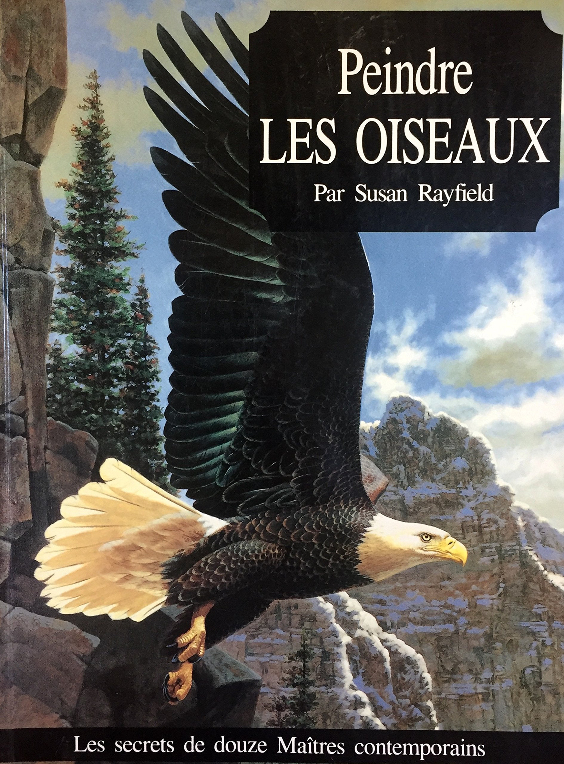 Peindre les oiseaux 9782890002562