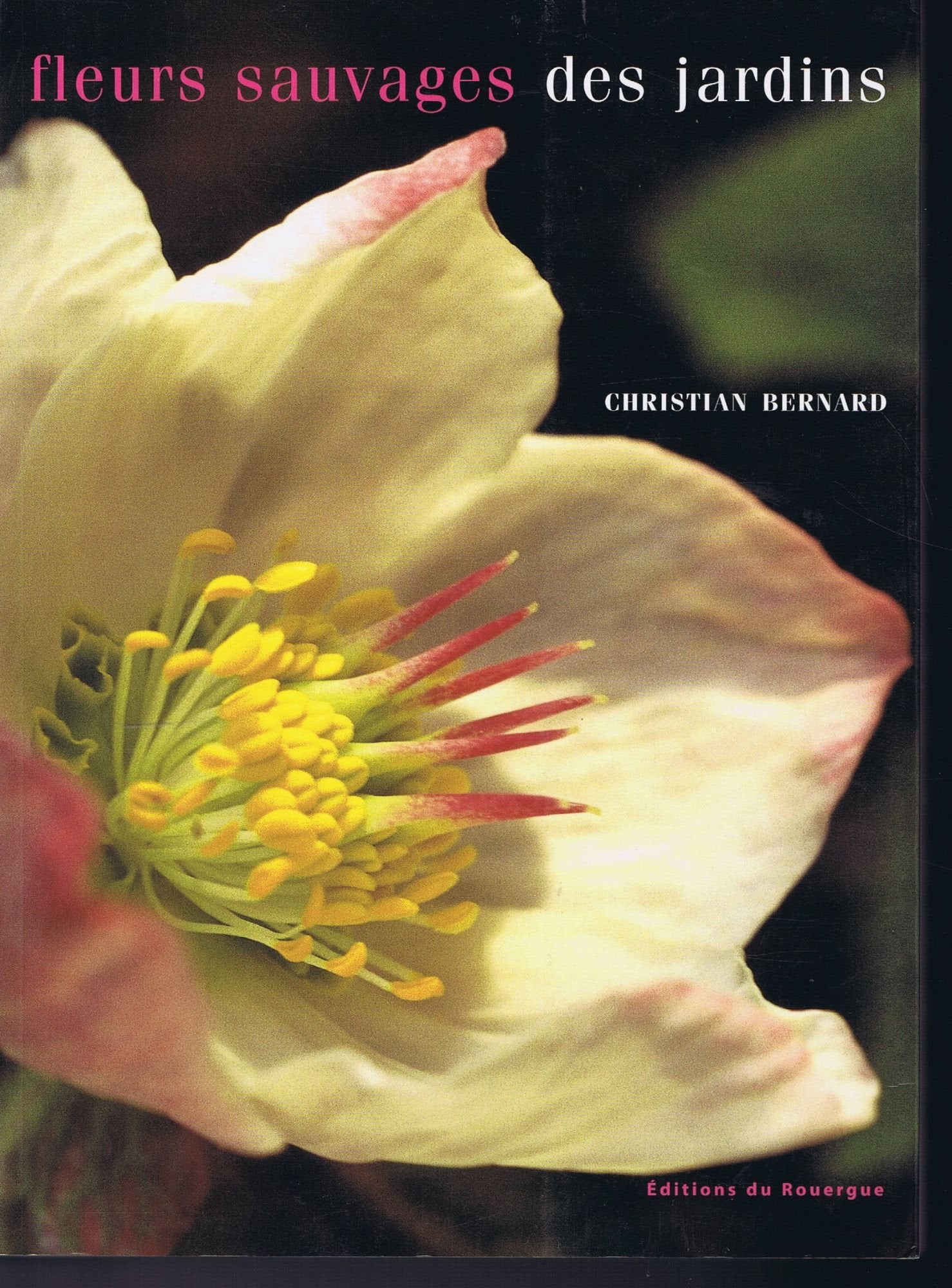 Fleurs sauvages des jardins 9782841562602