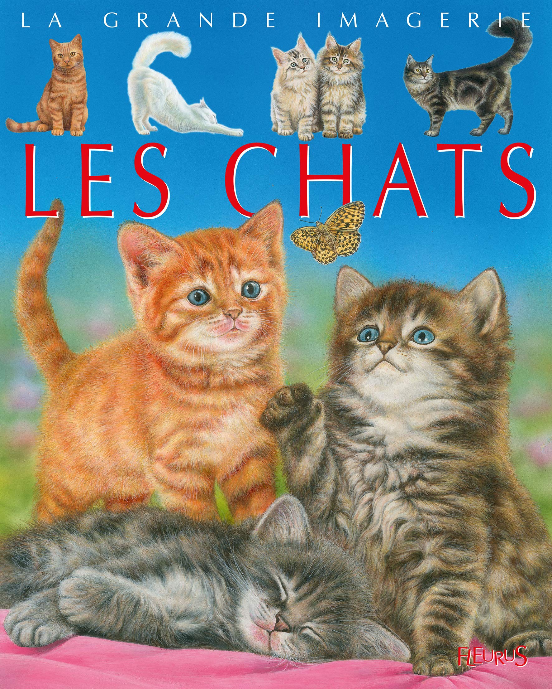 Les chats 9782215142881