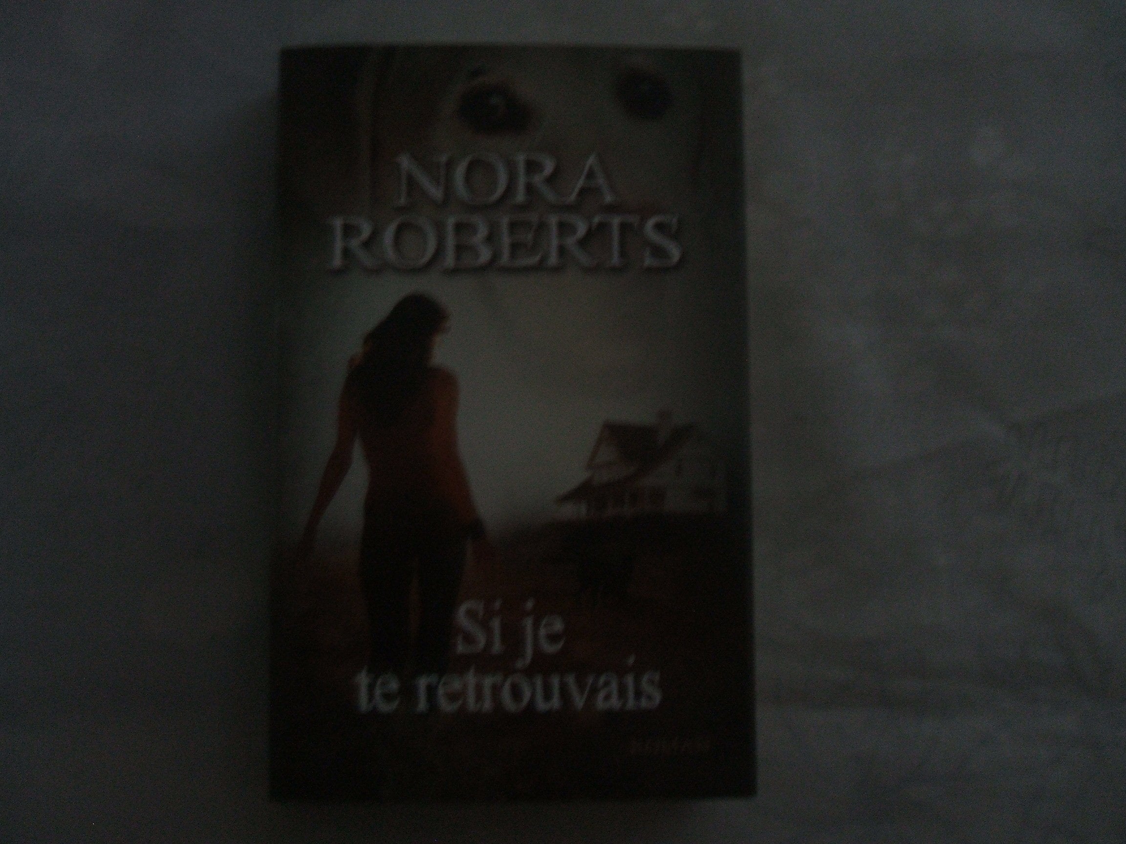 Si Je Te Retrouvais - Nora Roberts / Livre BE - EQ05 9782298052633