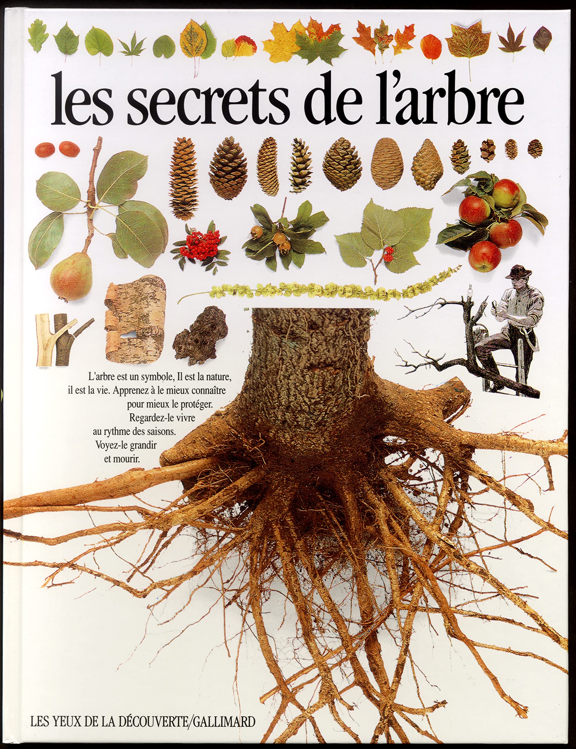 Les Secrets de l'arbre 9782070564248