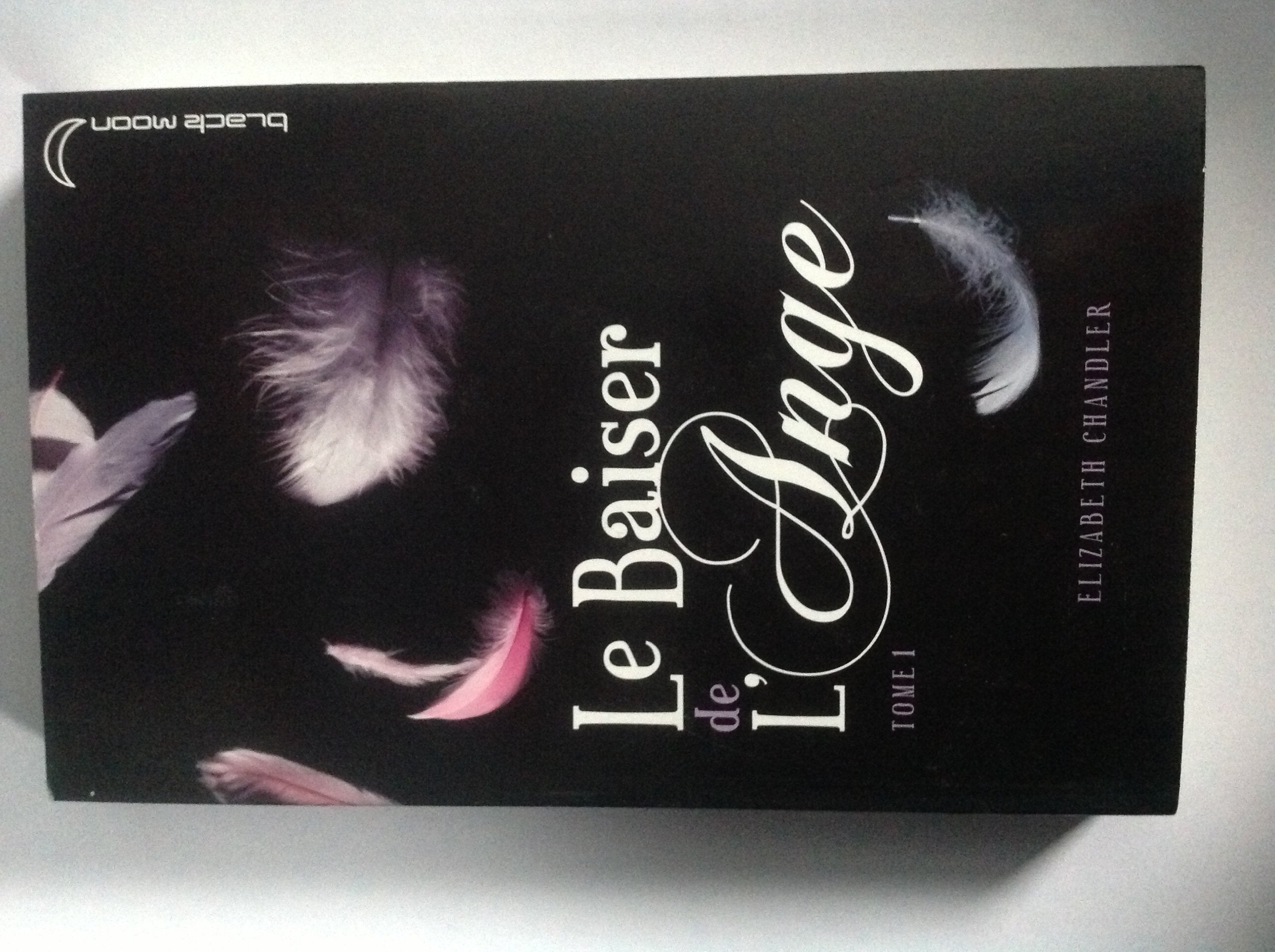 Le baiser de l'ange - Tome 1 - L'accident 9782012019065