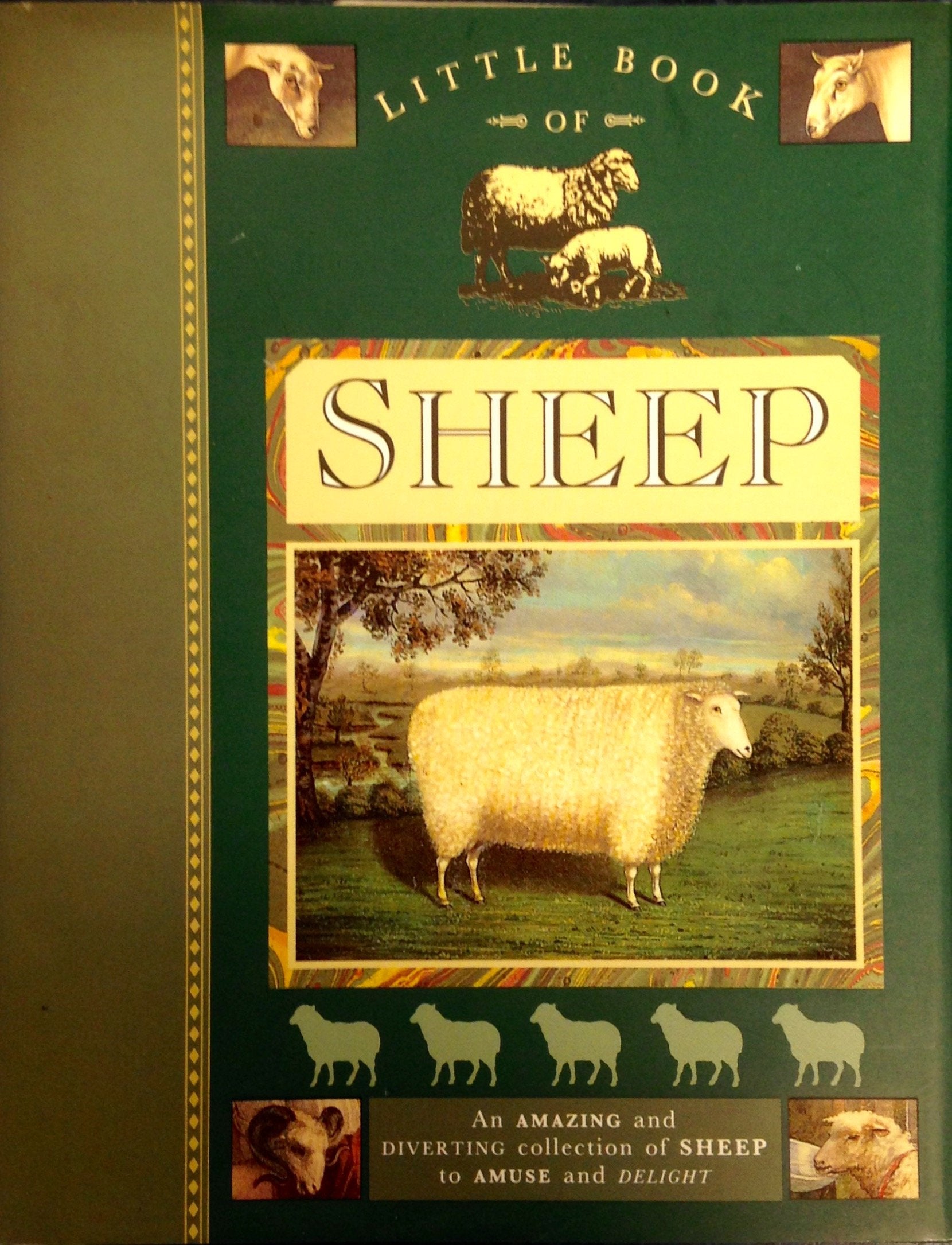 Little Book of Sheep 9780297832461