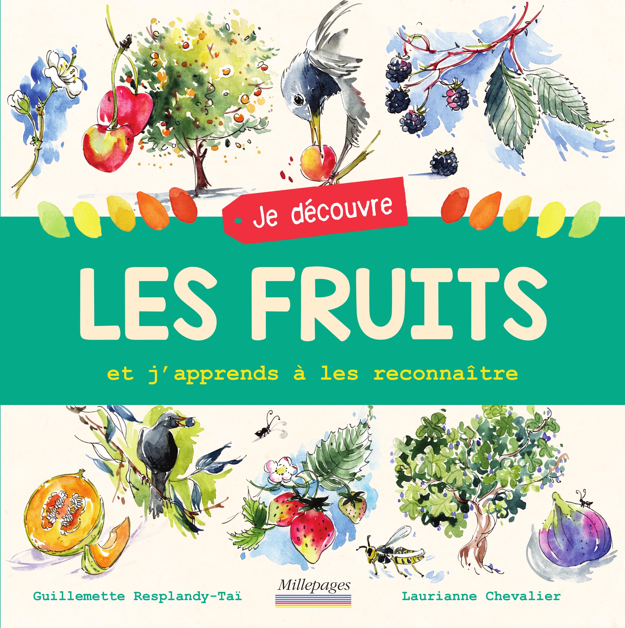 Je découvre les fruits: Et j'apprends à les reconnaître 9782842184872